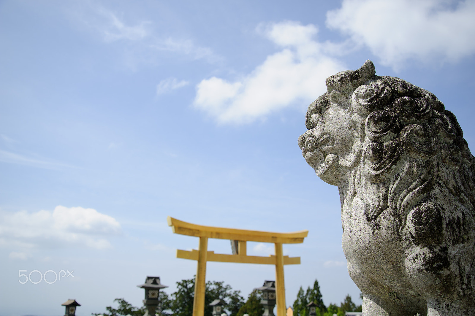 Nikon D3S sample photo. Guarding photography