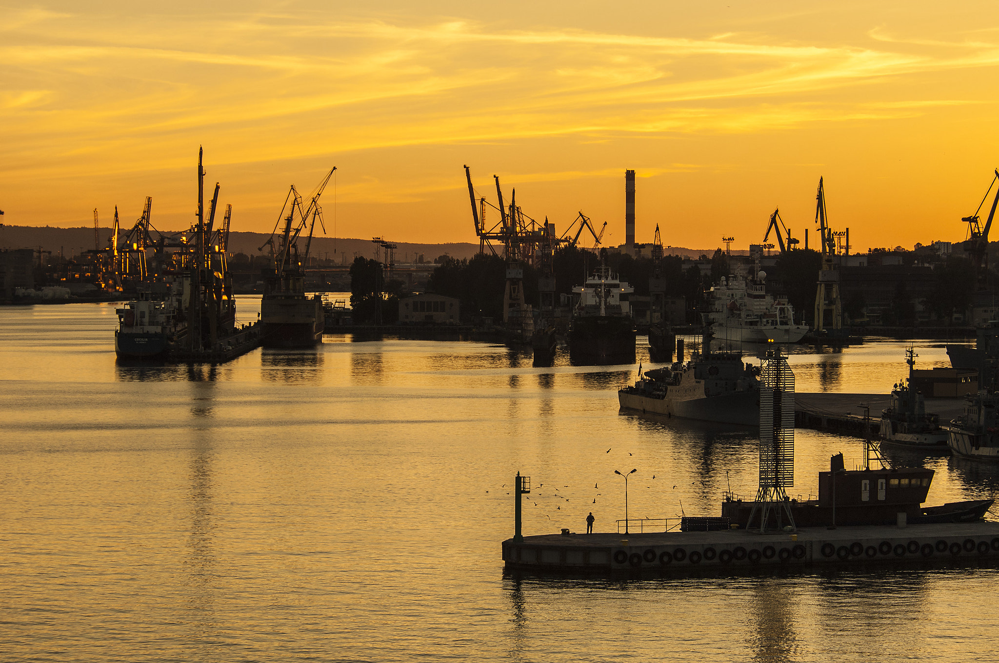 Nikon D2X sample photo. El pescador photography