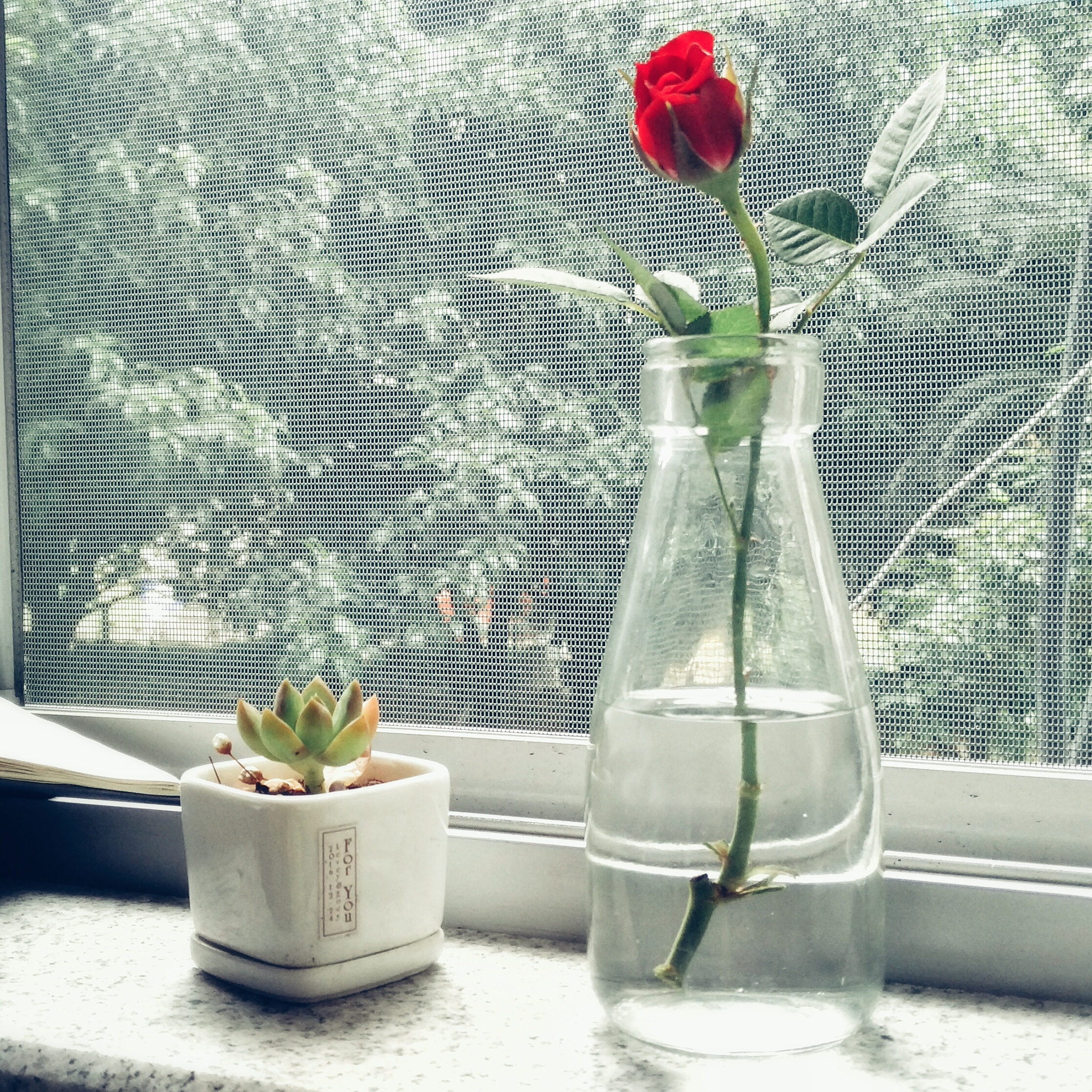 Xiaomi MI NOTE Pro sample photo. 瓶中花 photography