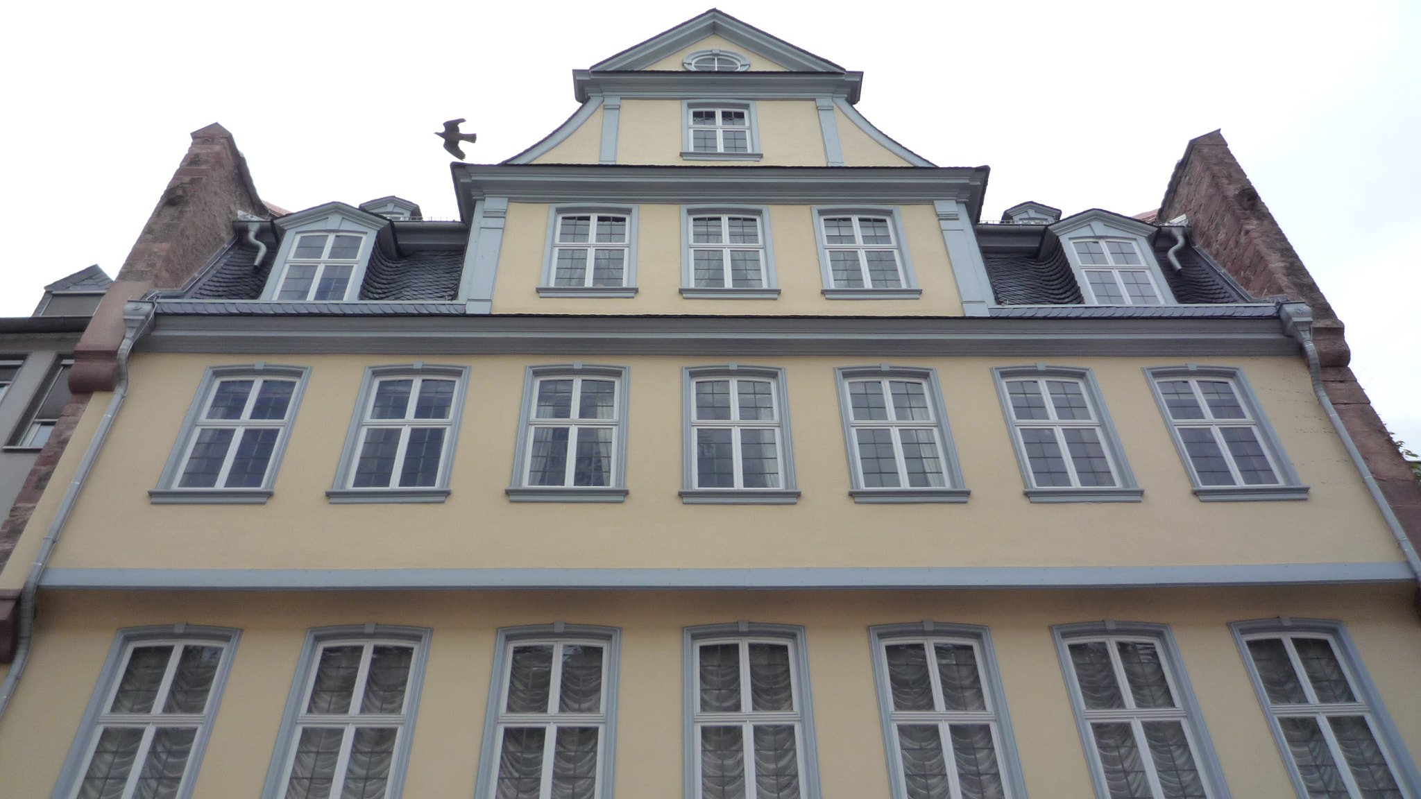 Panasonic DMC-FX35 sample photo. Goethehaus frankfurt photography