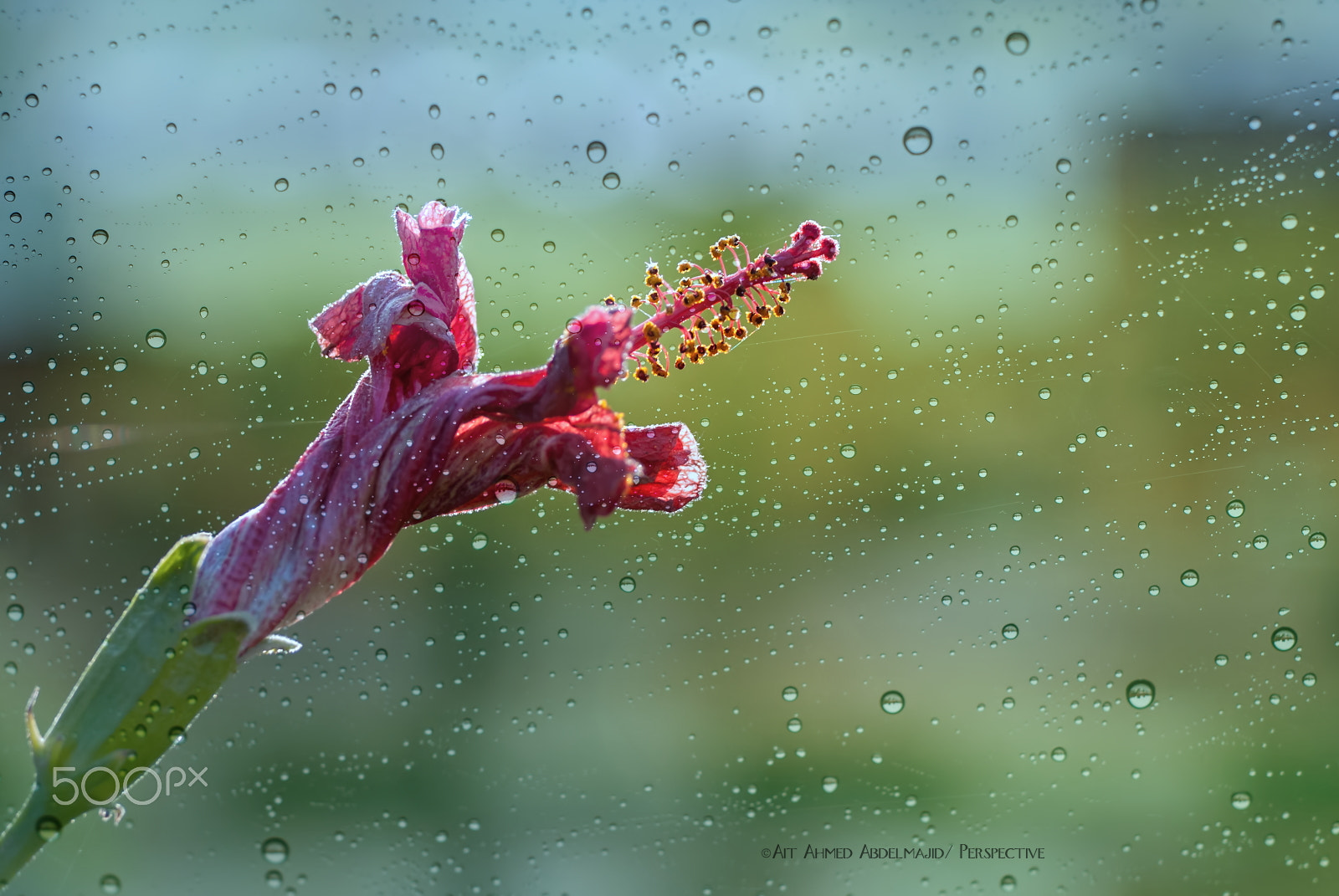 Nikon D200 sample photo. Exhilaration rain...!! photography