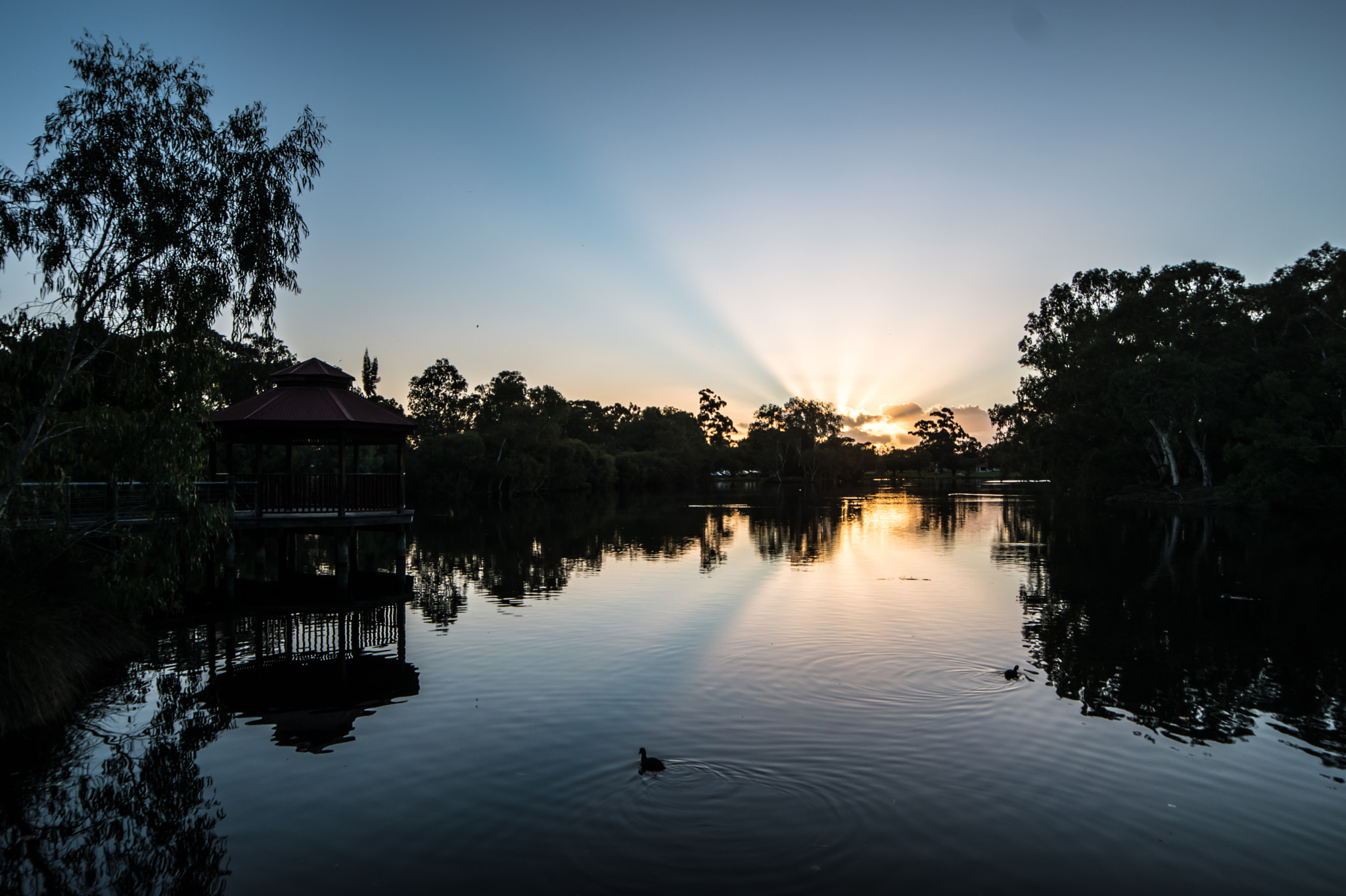 Samyang 14mm F2.8 ED AS IF UMC sample photo. Tomato lake reserve photography