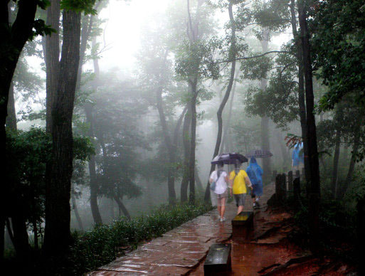 Panasonic DMC-LX1 sample photo. 冒雨“问道”青城山 photography