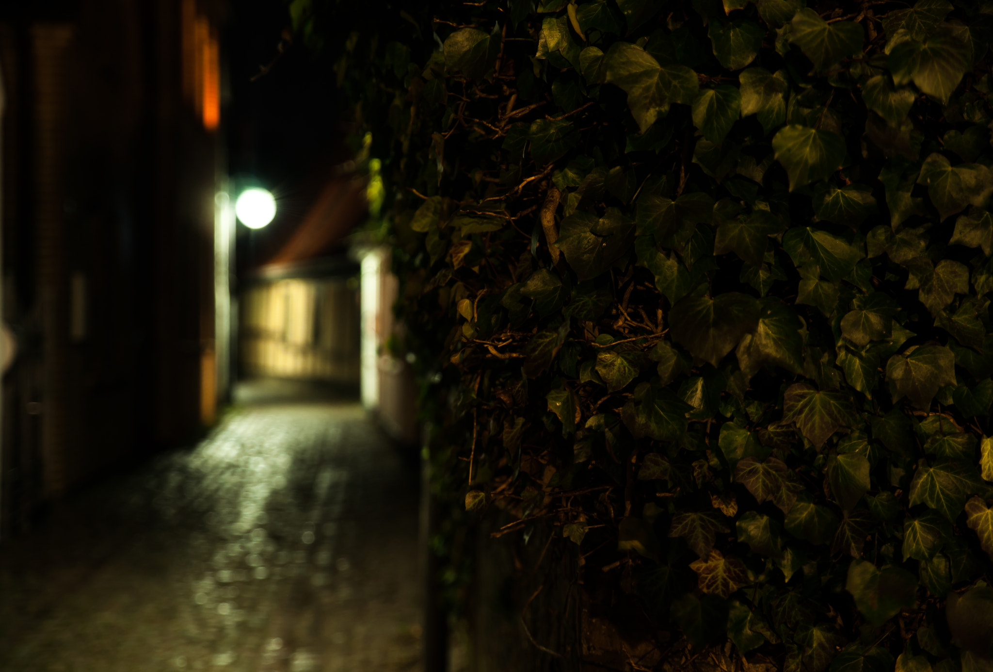 Sony Alpha DSLR-A900 + Tamron SP 24-70mm F2.8 Di VC USD sample photo. Old town photography