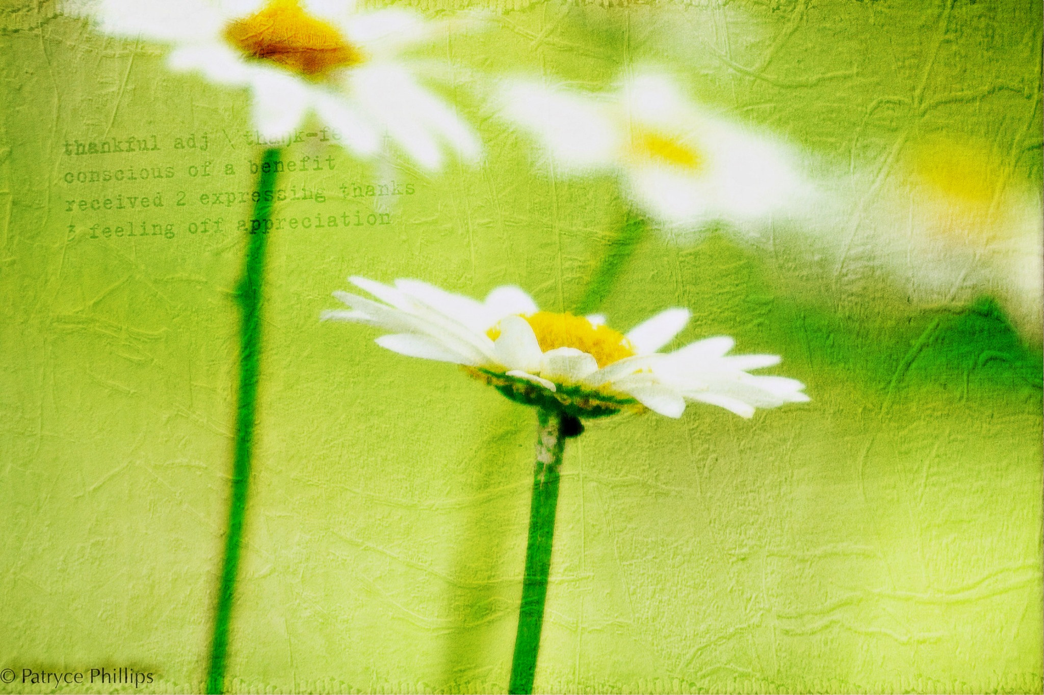 Canon EF 75-300mm f/4-5.6 USM sample photo. Return to me photography