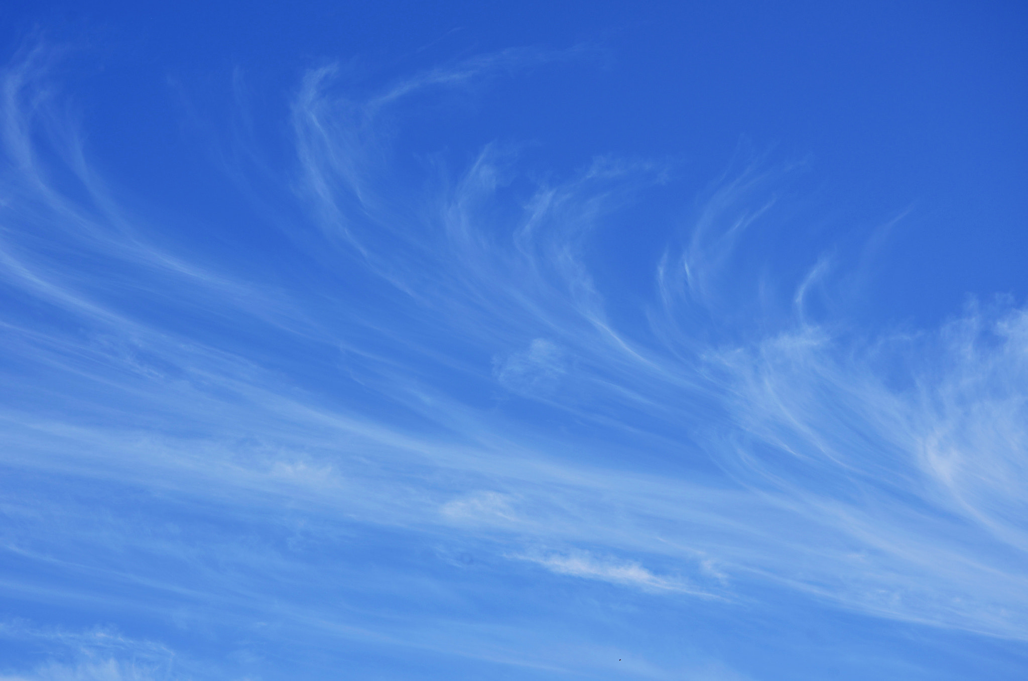 Sigma 18-200mm F3.5-6.3 DC OS HSM sample photo. Sky`s language photography