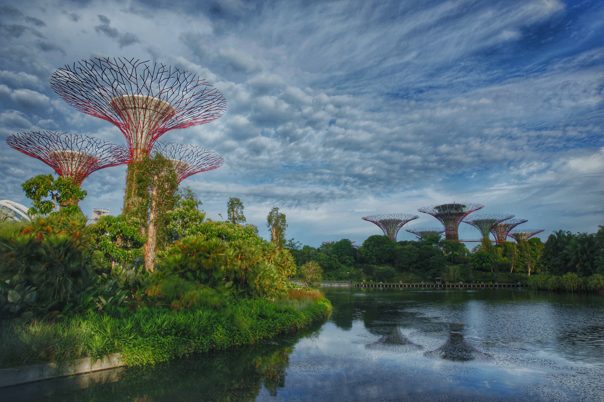 Canon EF 24-70mm F2.8L II USM sample photo. Garden by the bay photography