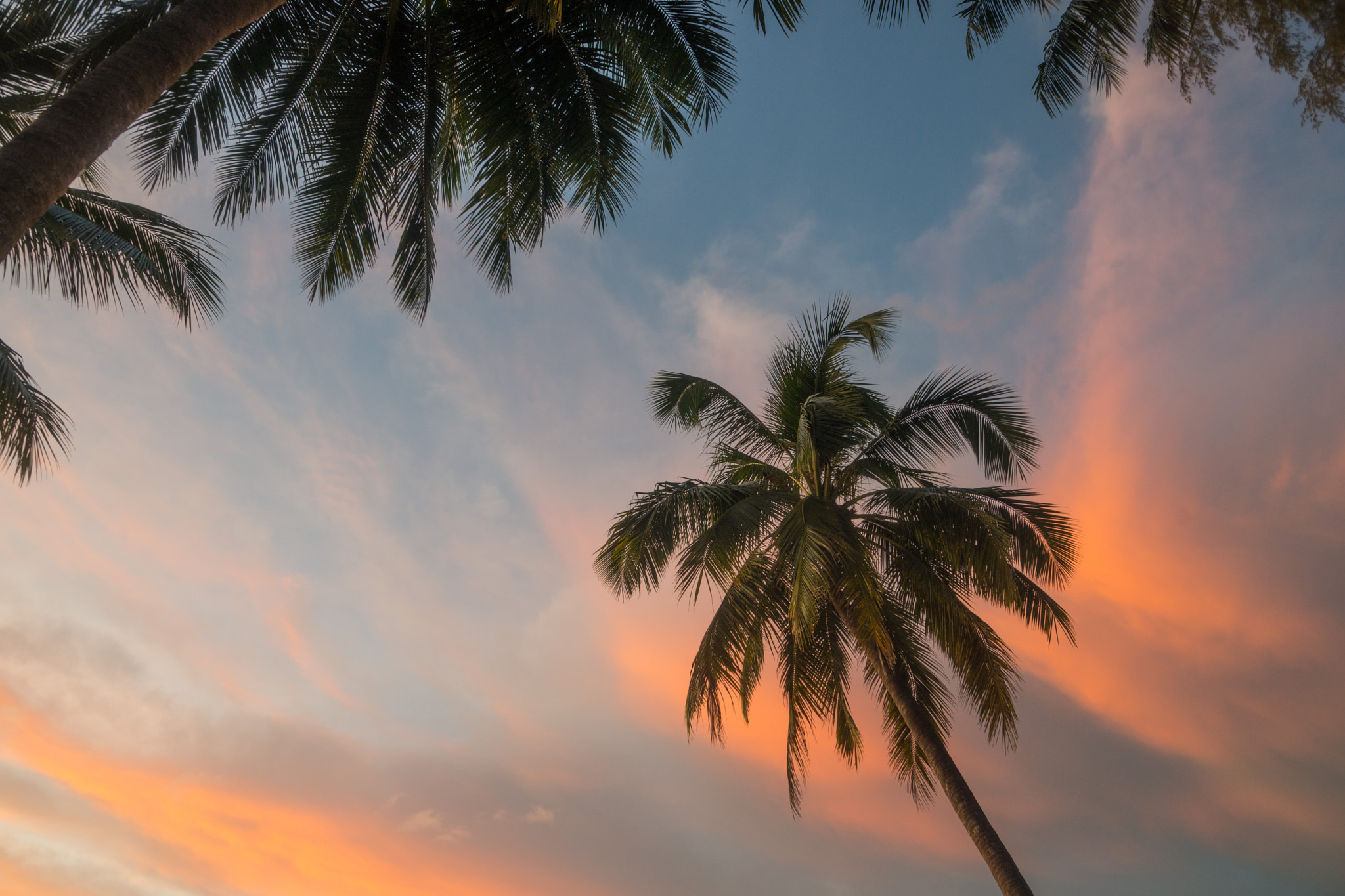 Sony SLT-A99V sample photo. Kao lak thailand photography