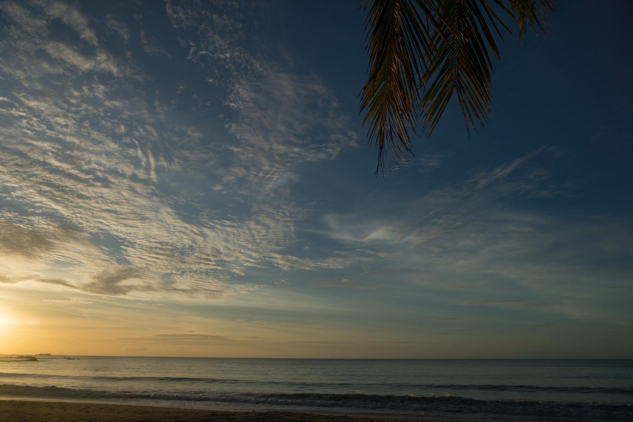Sony SLT-A99V sample photo