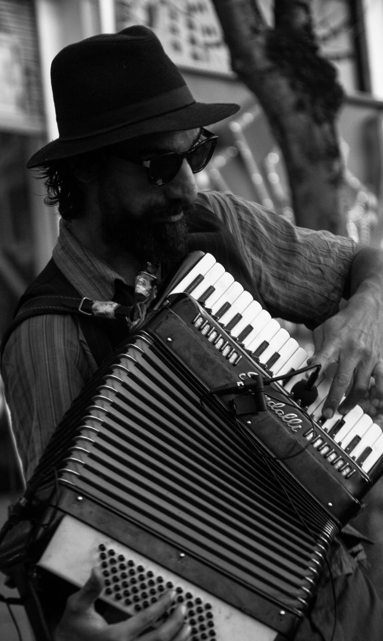 Canon EF 28-105mm f/3.5-4.5 USM sample photo. Acordeon photography