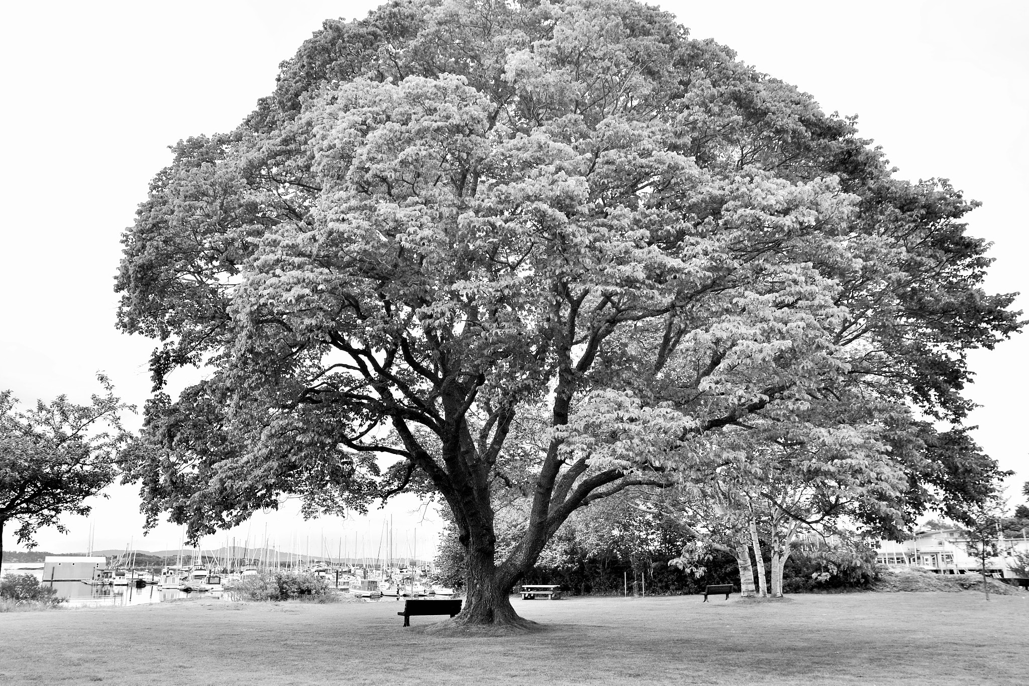 Sigma 17-70mm F2.8-4 DC Macro OS HSM sample photo. Place to gather your thoughts photography
