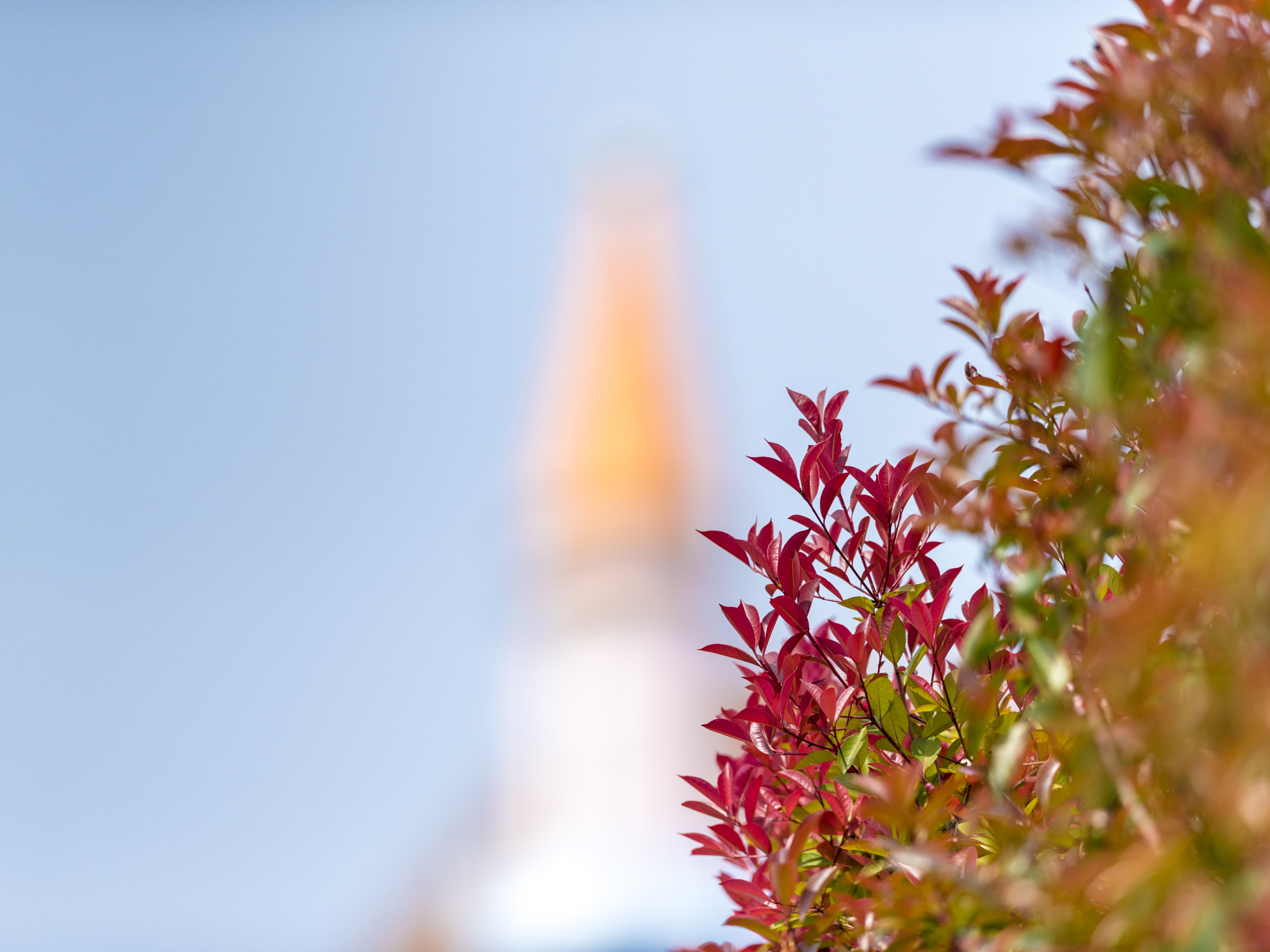 Nikon AF-S Nikkor 400mm F2.8E FL ED VR sample photo. A dream castle photography