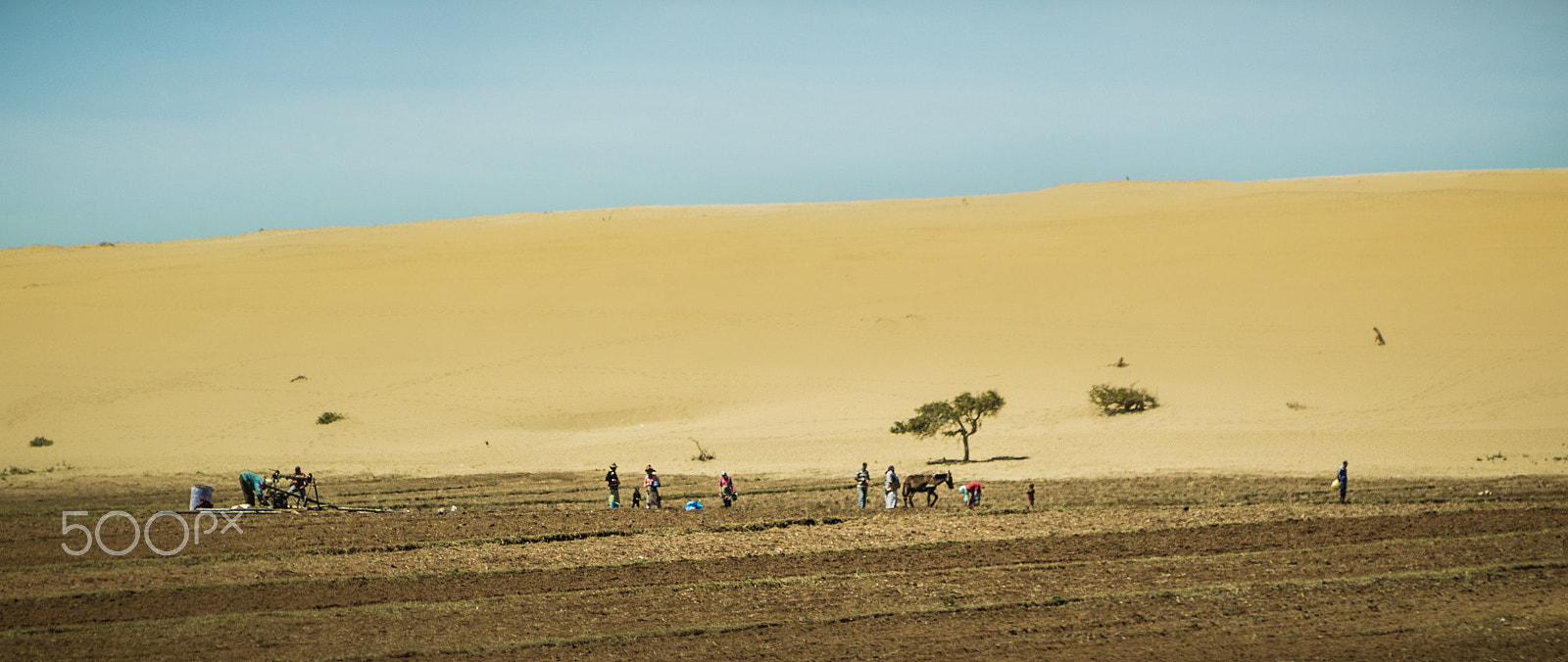 Canon EF 70-210mm f/3.5-4.5 USM sample photo. Fighting the desert photography