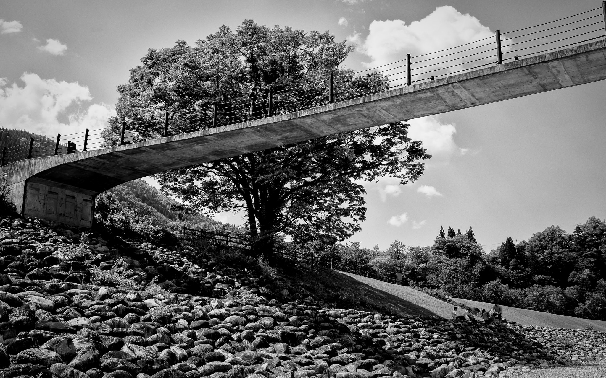 Nikon D610 + Nikon AF-S Nikkor 35mm F1.4G sample photo. Under the bridge photography