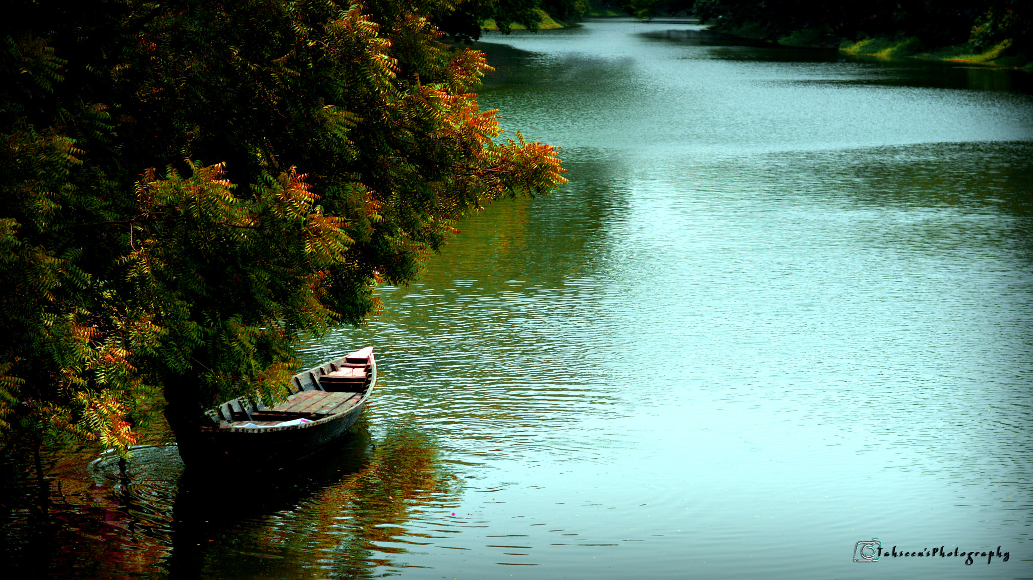 Nikon D7100 + Nikkor 500mm f/4 P ED IF sample photo. Dhanmondi lake, dhaka, bangladesh photography