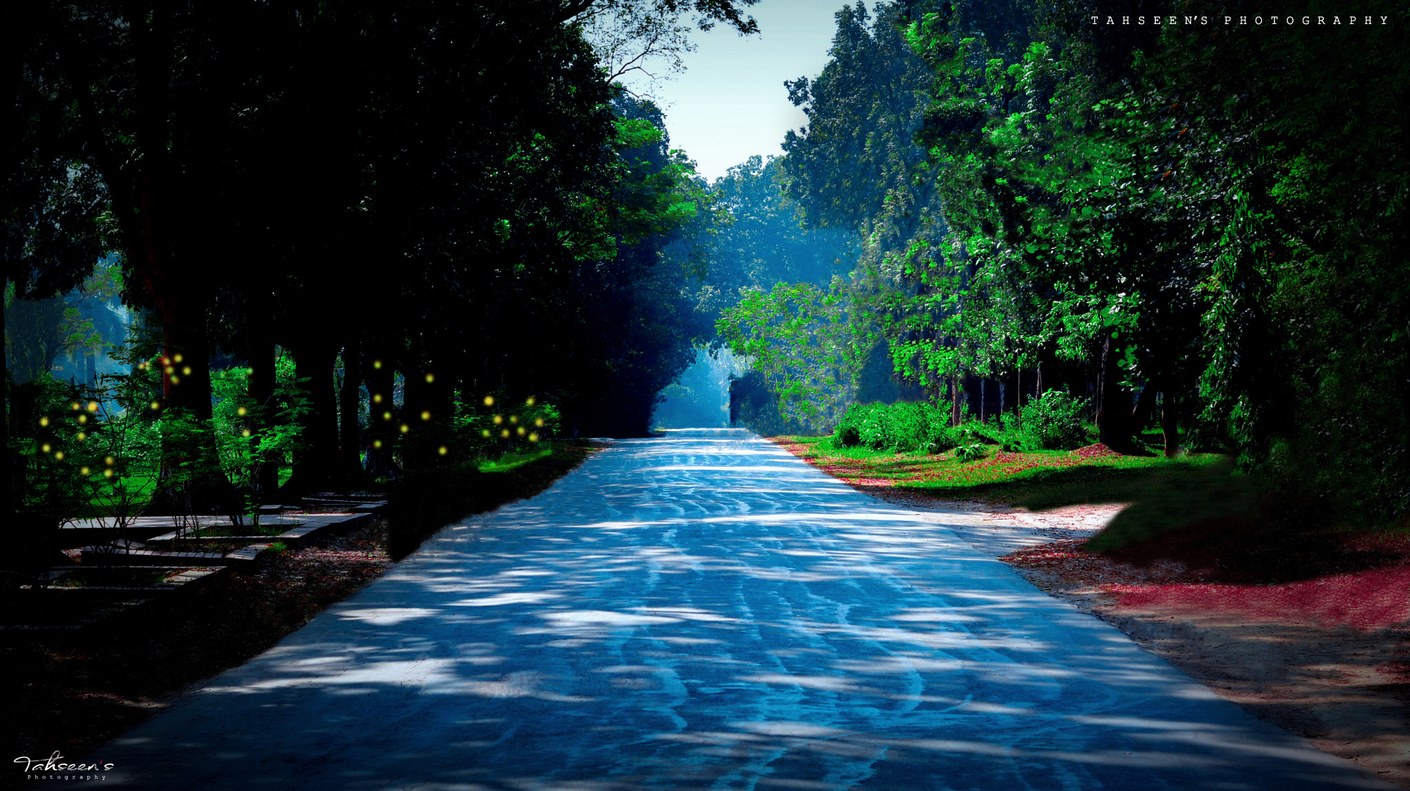 Sigma 28-300mm F3.5-6.3 DG Macro sample photo. Jahangirnagar university photography