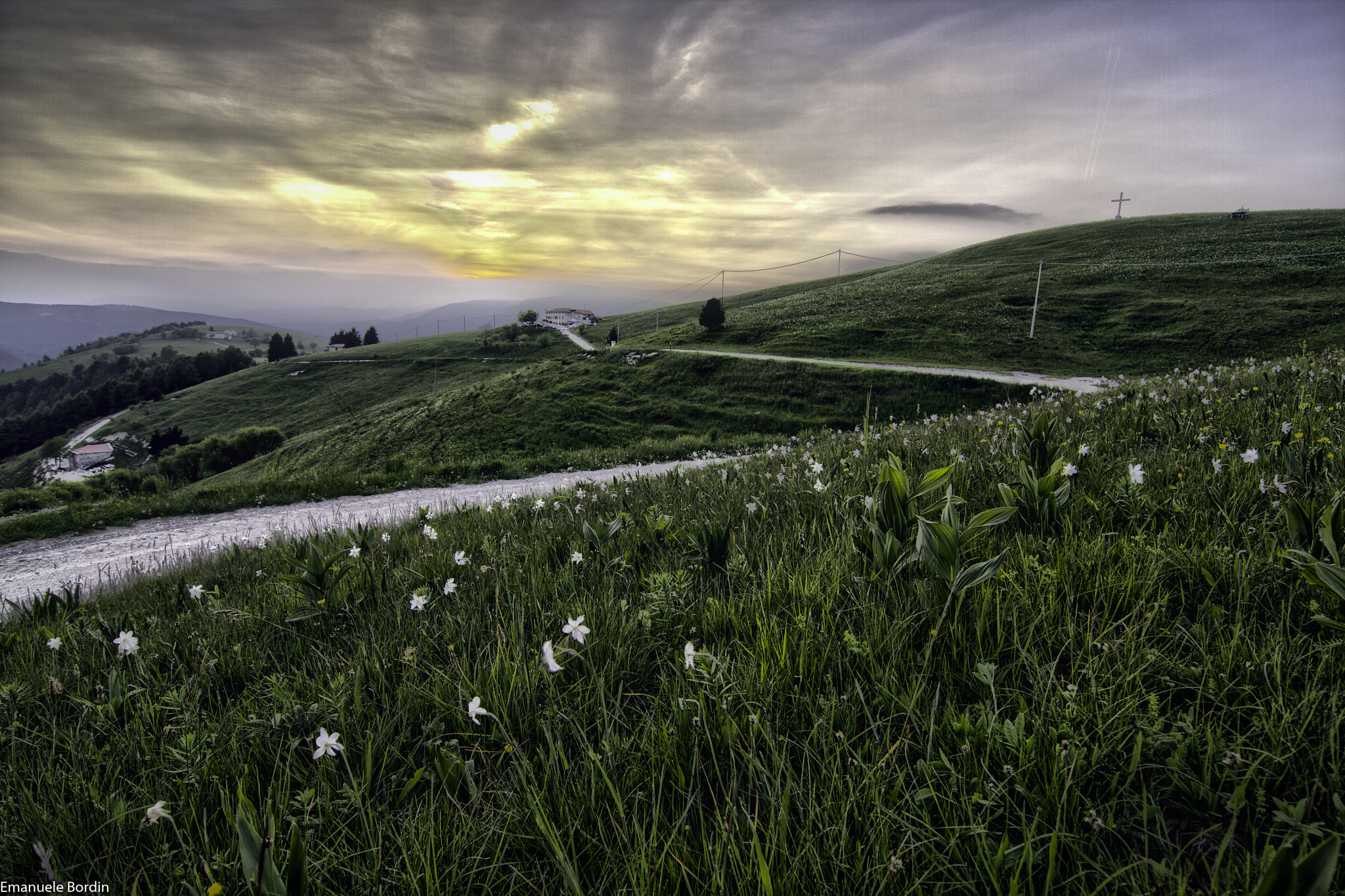Canon EOS 40D sample photo. Sunshine & lilies - hdr photography