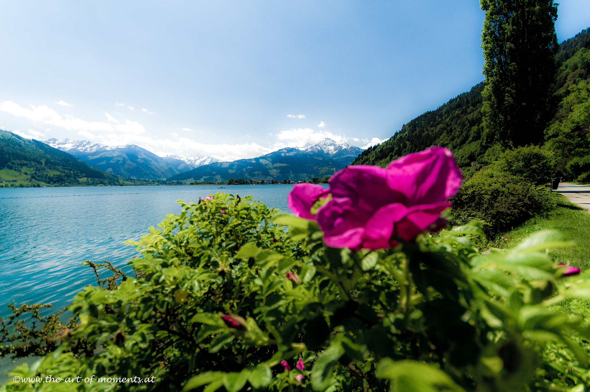 Sigma AF 10-20mm F4-5.6 EX DC sample photo