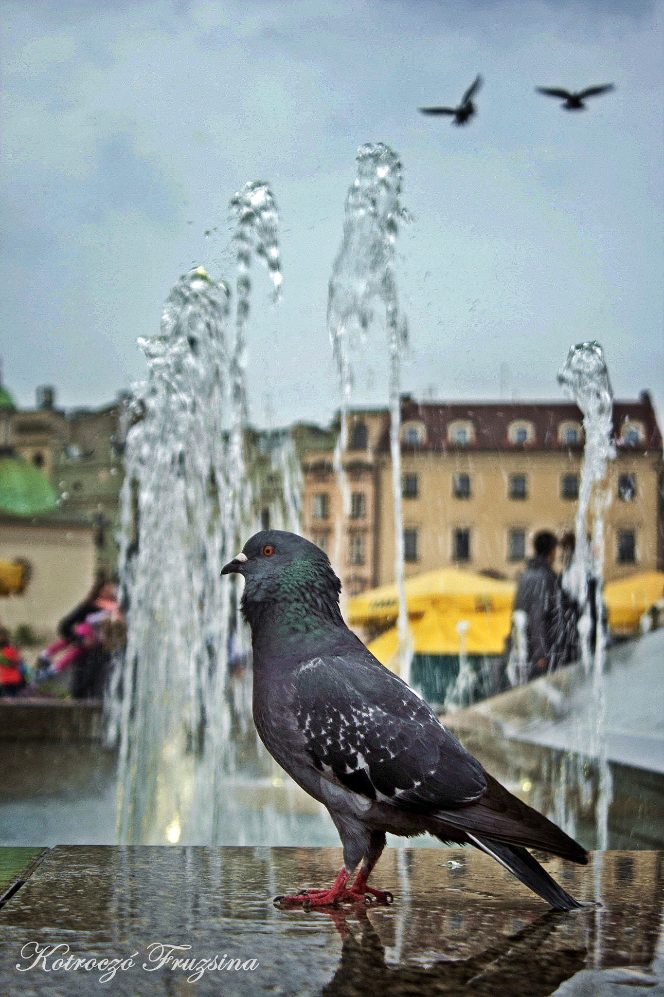 Canon EOS 400D (EOS Digital Rebel XTi / EOS Kiss Digital X) sample photo. Krakkó photography