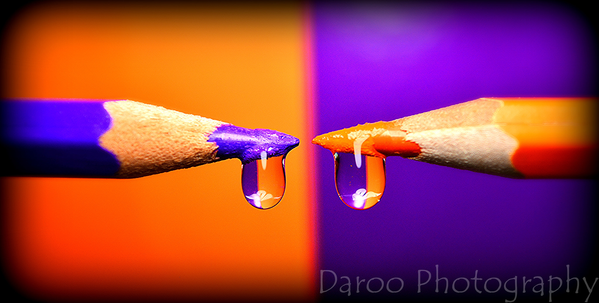 AF Zoom-Nikkor 35-135mm f/3.5-4.5 N sample photo. Naranja y violeta - orange and violet photography