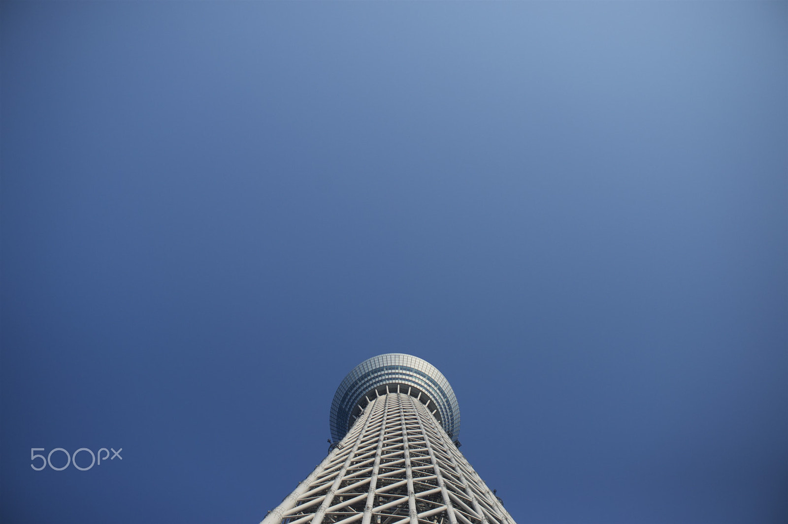 Nikon Df + AF Nikkor 50mm f/1.8 sample photo. Sky tree photography