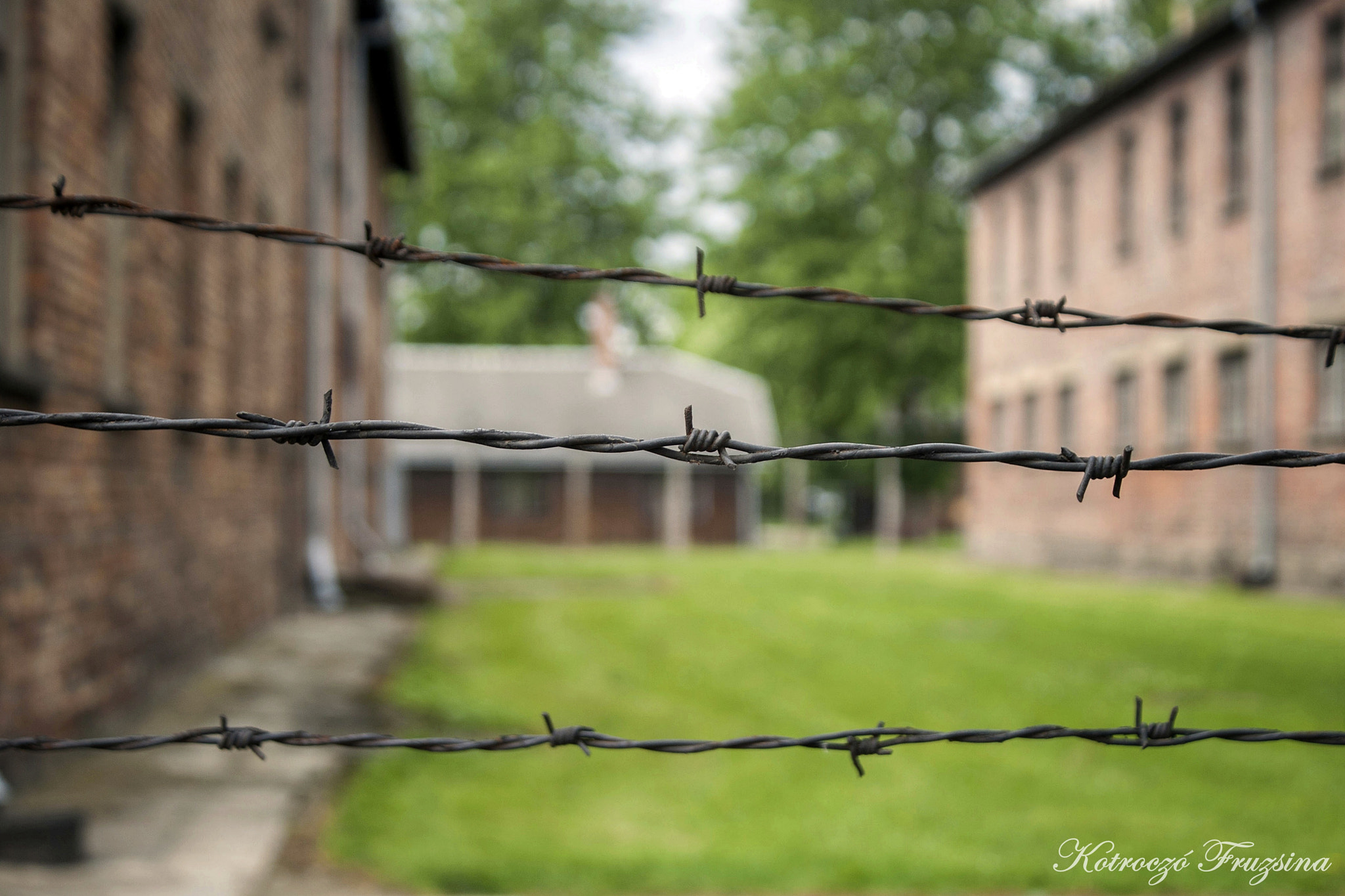 Canon EOS 400D (EOS Digital Rebel XTi / EOS Kiss Digital X) sample photo. Auschwitz i. photography