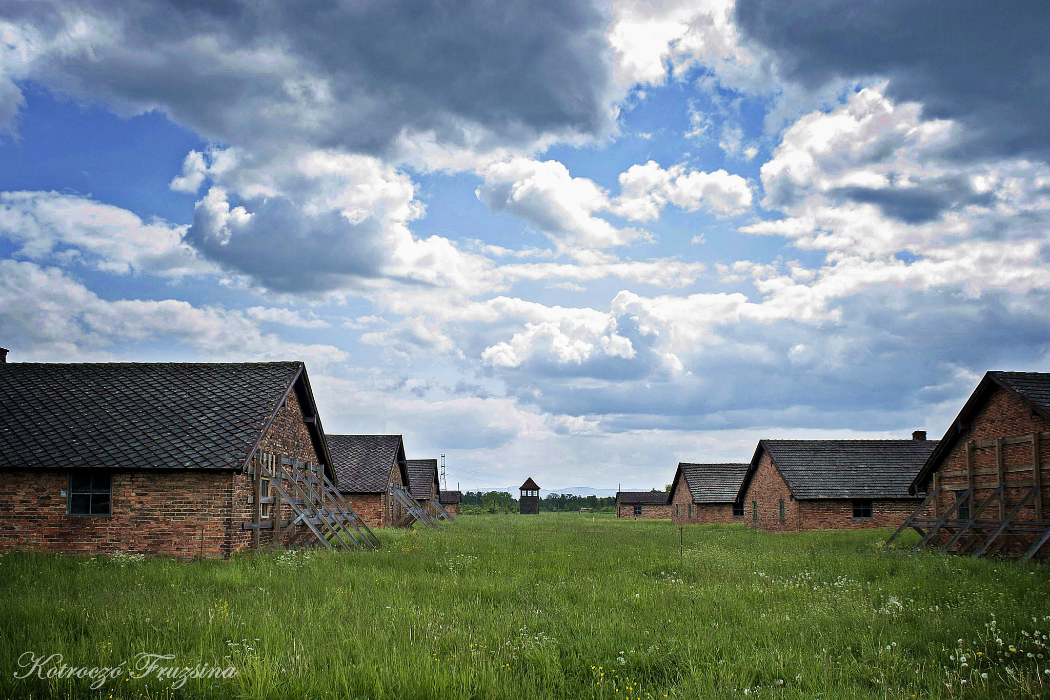 Canon EOS 400D (EOS Digital Rebel XTi / EOS Kiss Digital X) sample photo. Birkenau photography