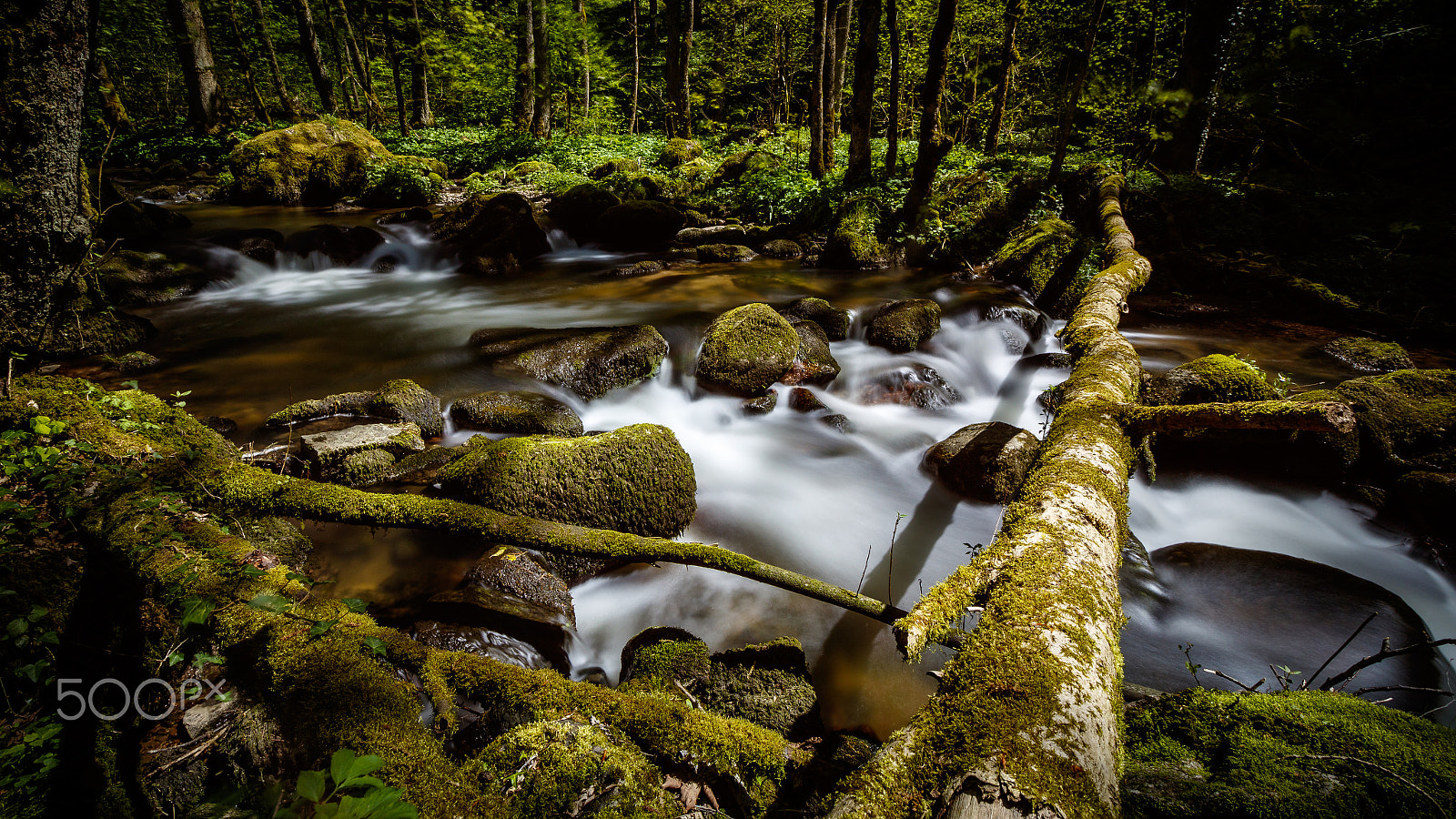 Canon EF-S 10-18mm F4.5–5.6 IS STM sample photo. Black forest creek photography