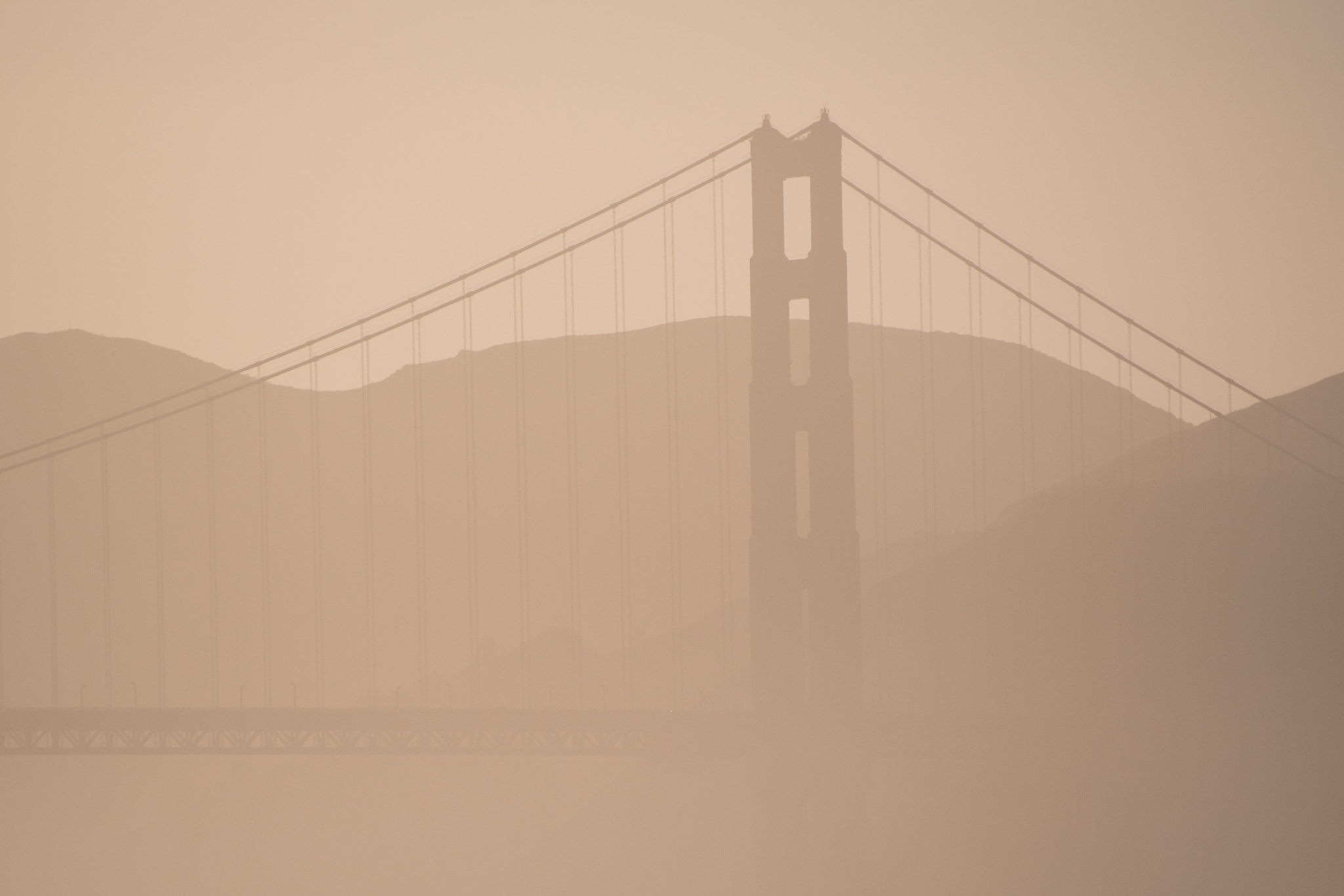 Nikon D500 sample photo. Bridge photography