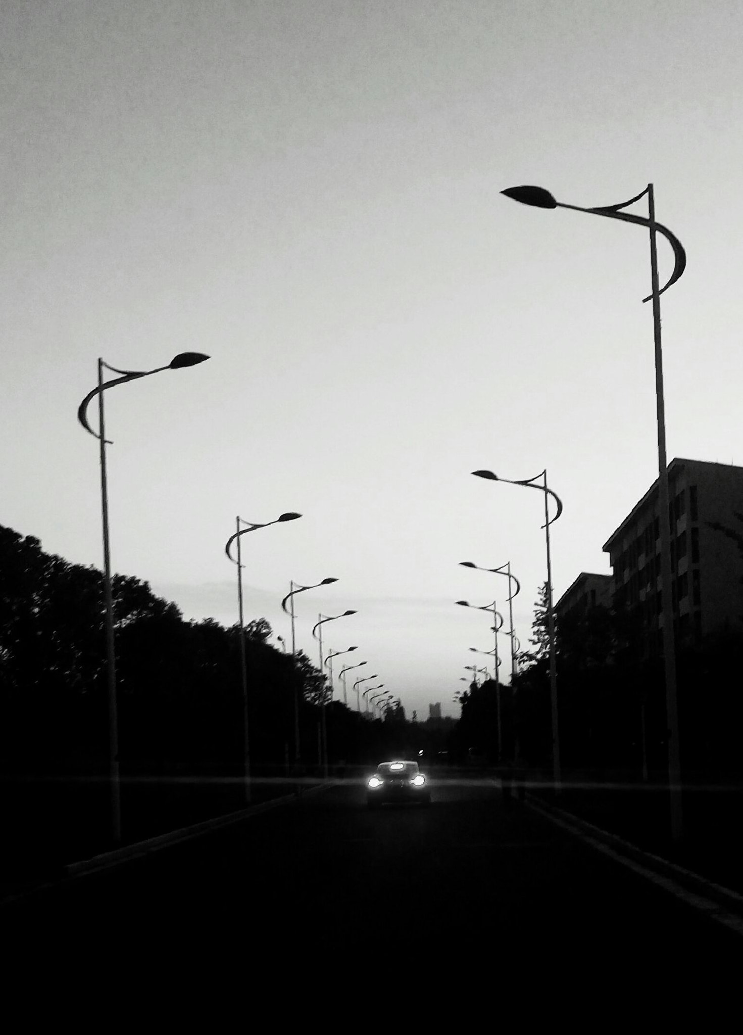HTC ONE M9+ sample photo. Shot photography