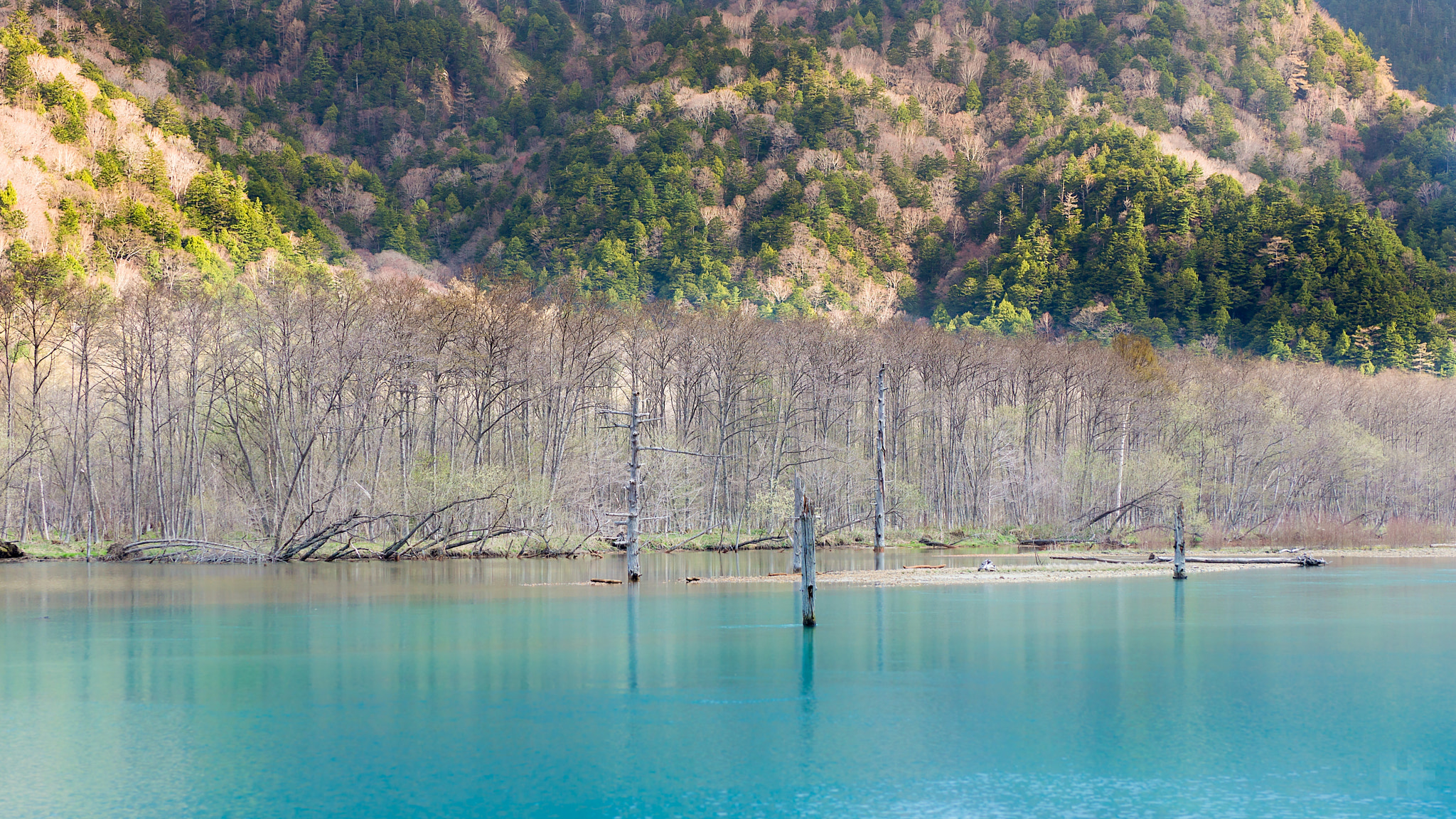 Sony SLT-A65 (SLT-A65V) + Sony Planar T* 50mm F1.4 ZA SSM sample photo. Blue river photography