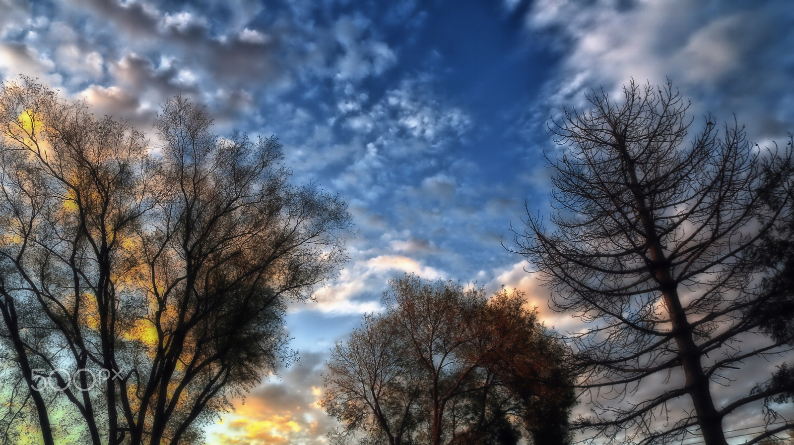 Canon EOS 760D (EOS Rebel T6s / EOS 8000D) sample photo. Morning sky photography