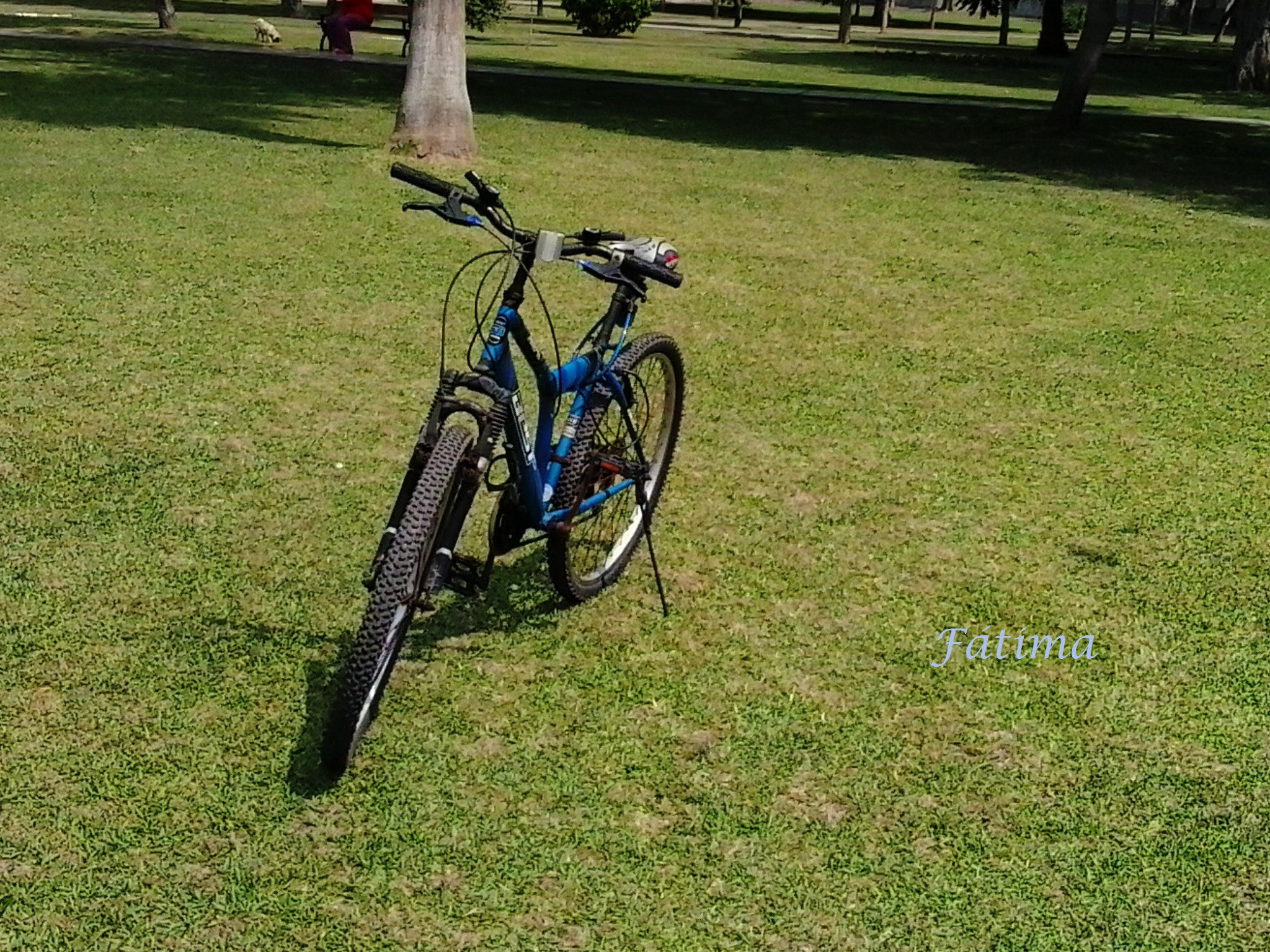 Samsung Galaxy Music Duos sample photo. Mi bicicleta photography