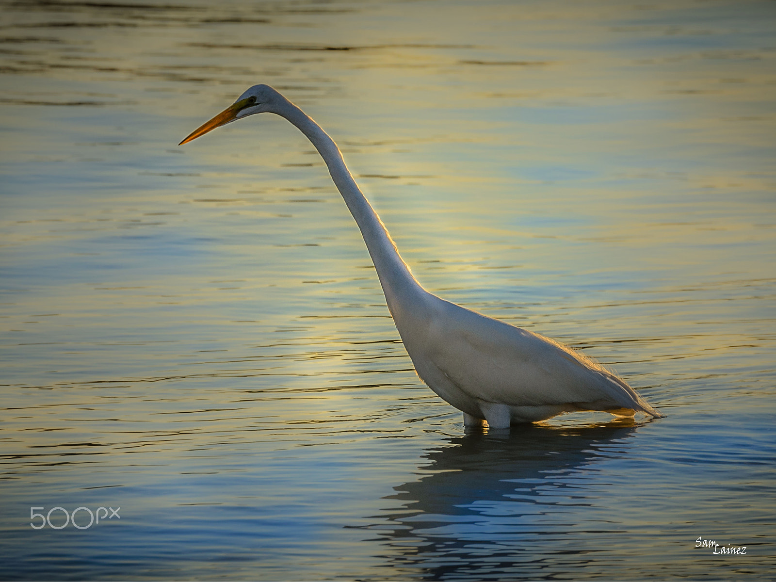 Nikon AF-S Nikkor 70-200mm F2.8G ED VR II sample photo. White calm photography