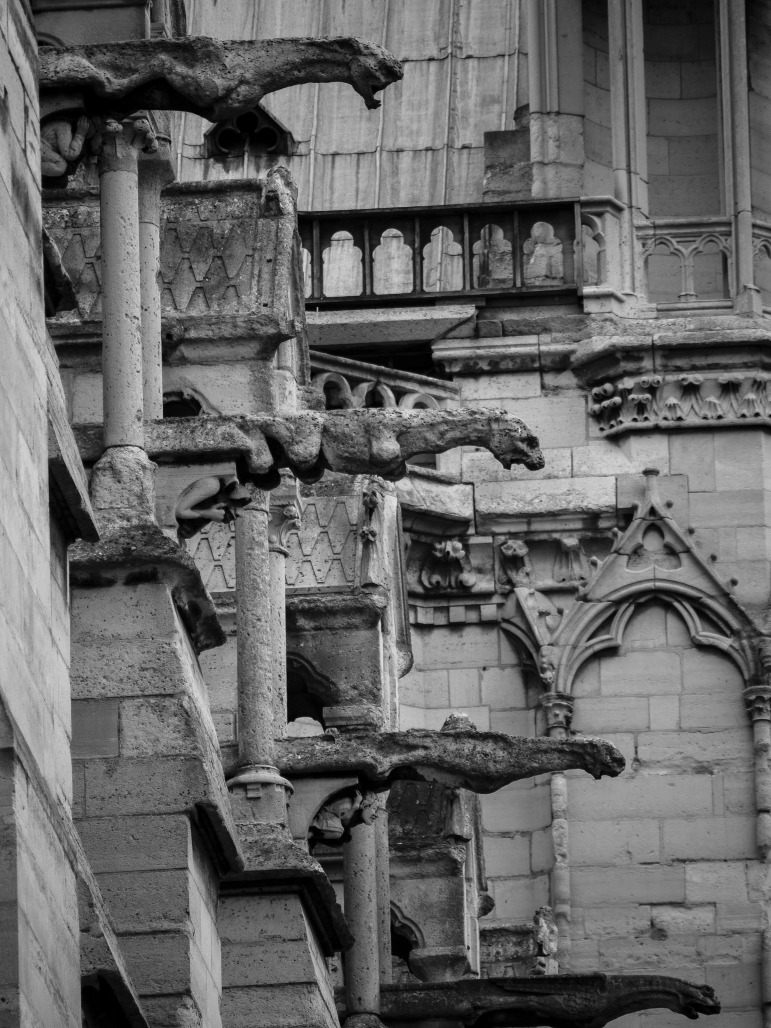 Panasonic Lumix G Vario 45-200mm F4-5.6 OIS sample photo. Paris 45 photography