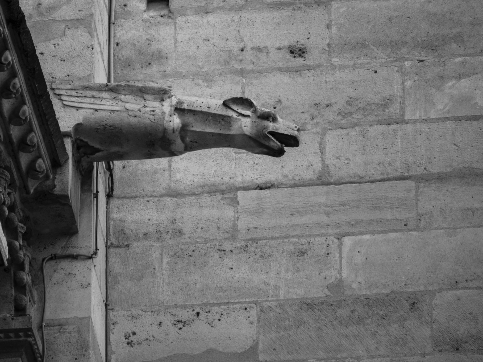 Panasonic Lumix G Vario 45-200mm F4-5.6 OIS sample photo. Paris 46 photography