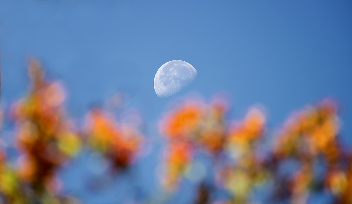 Nikon AF-S Nikkor 200-500mm F5.6E ED VR sample photo. _poh6839-2.jpg photography