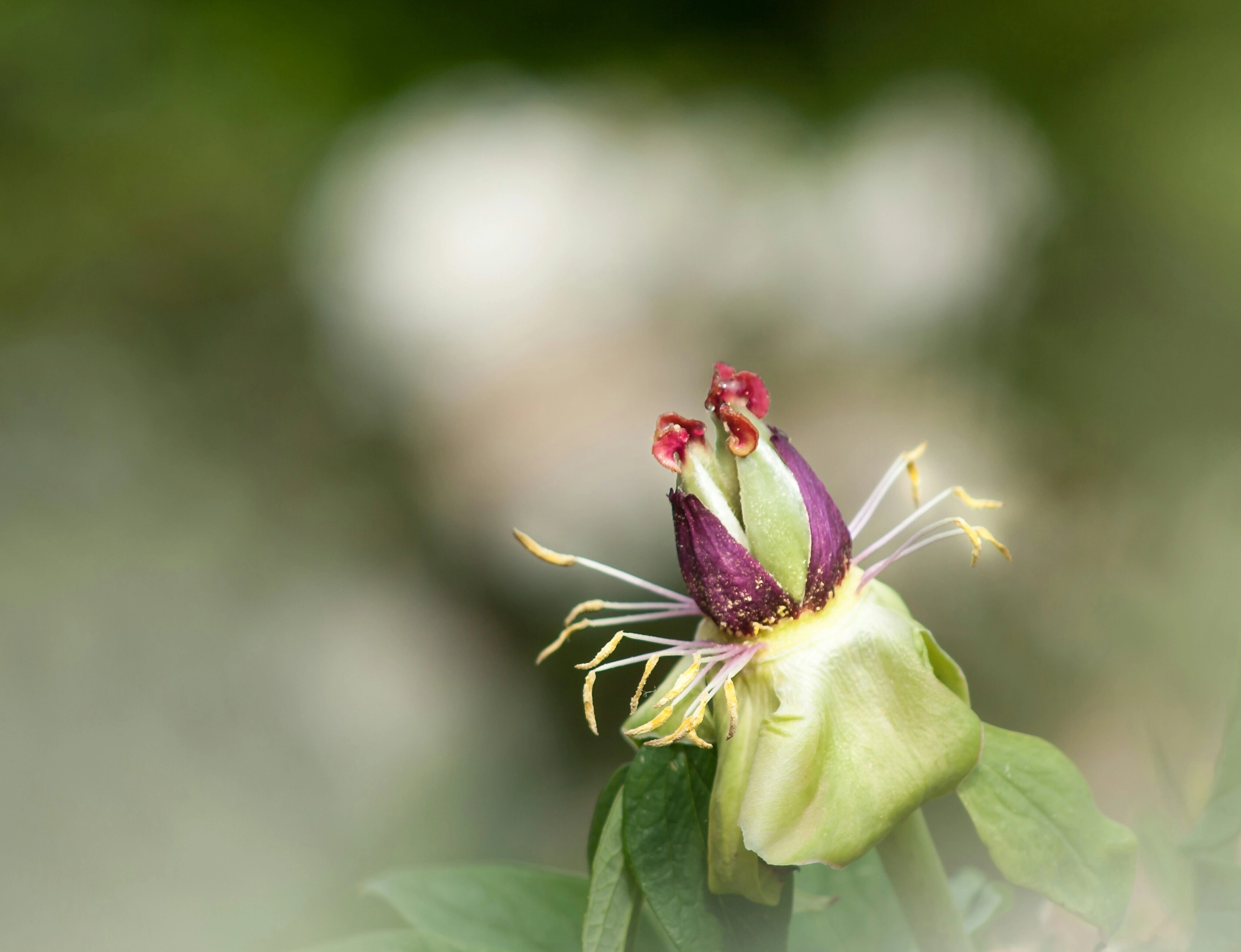 Canon EF 75-300mm f/4-5.6 USM sample photo. Its over photography