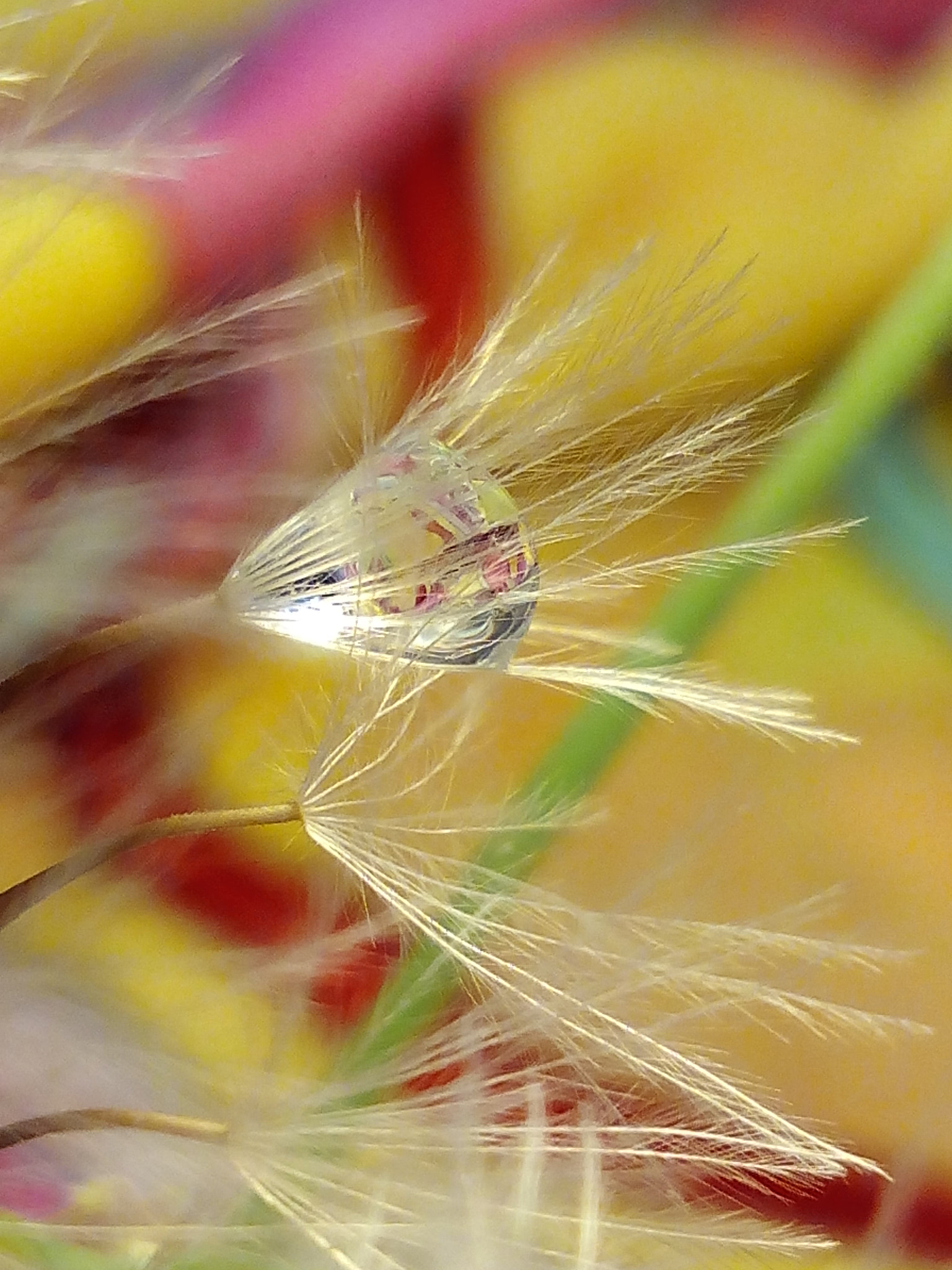 bq Aquaris E5 HD sample photo. Remolino photography