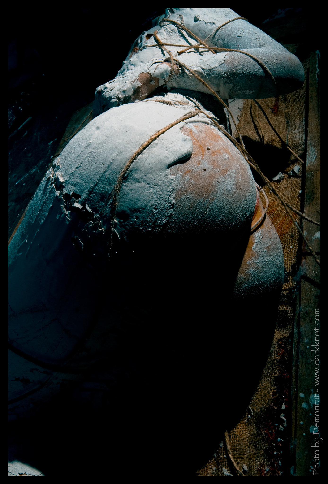 Canon EOS 30D sample photo. Poor art by demonrat hr photography
