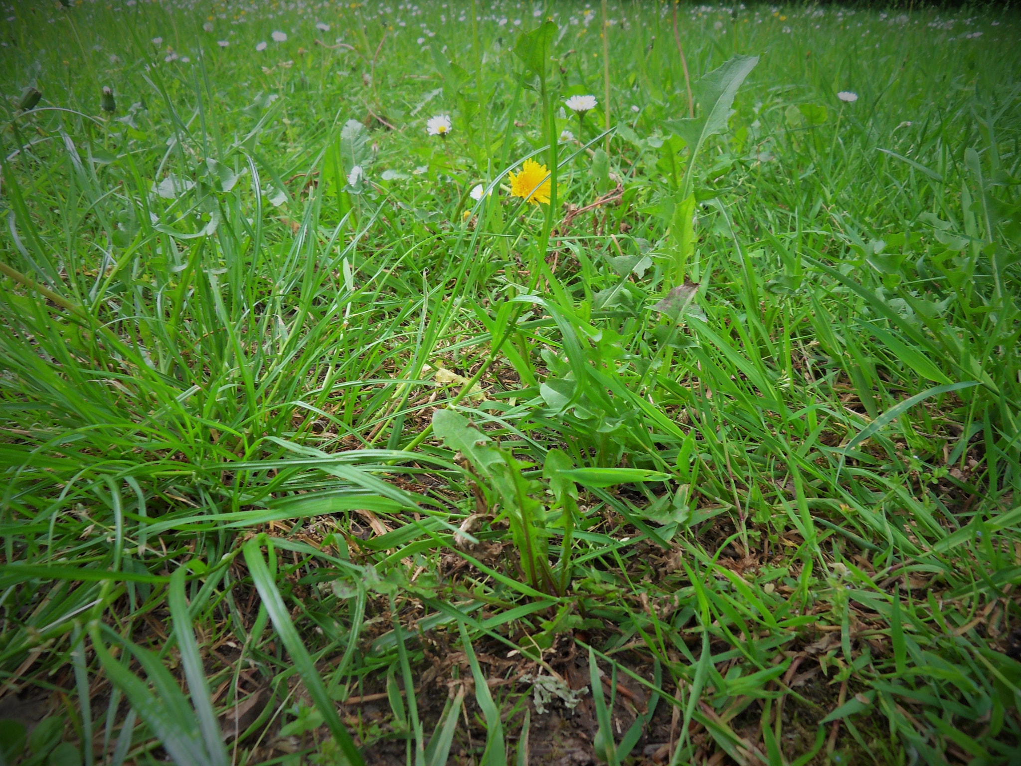 Samsung WB500, WB510 / VLUU WB500 /  HZ10W sample photo