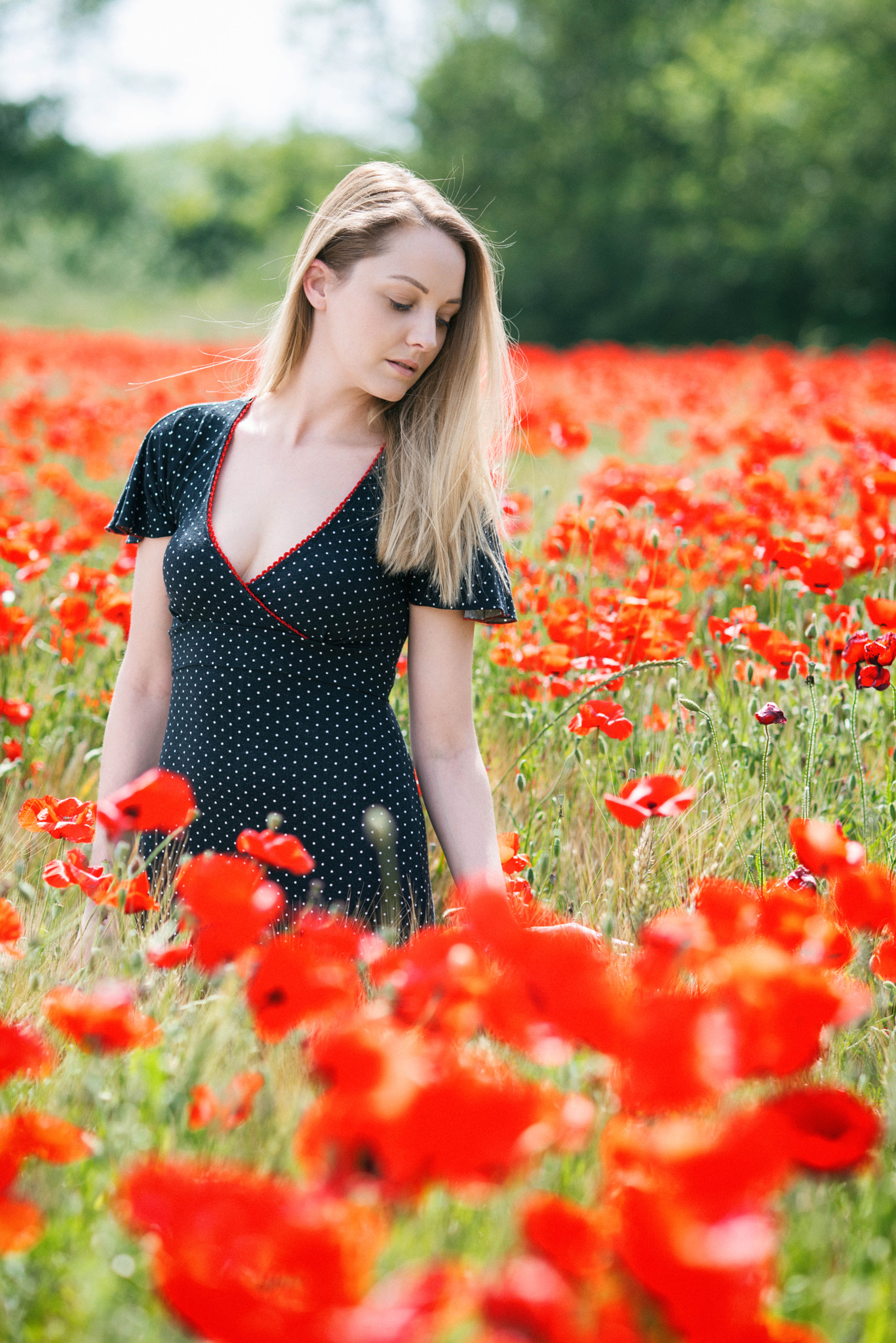 Nikon D610 + Nikon AF Nikkor 105mm F2D DC sample photo. On poppies field photography