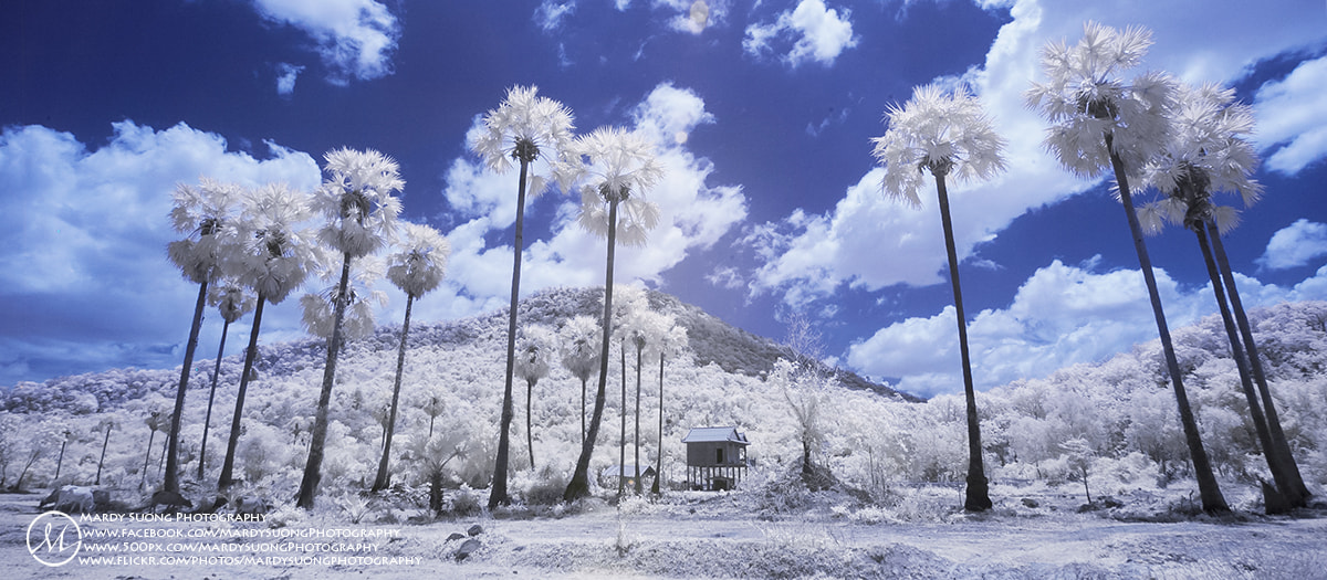 Nikon D70 sample photo. A house of neang kong rie mountain ! photography
