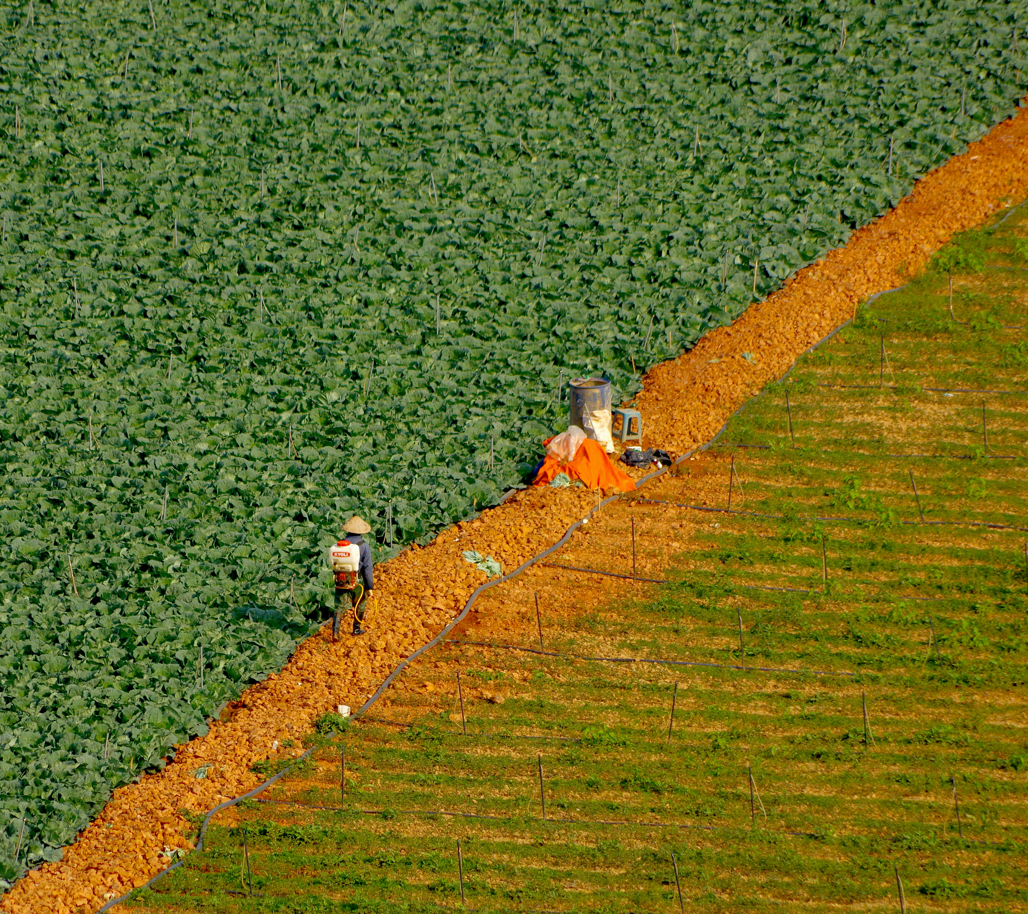 Pentax smc DA 55-300mm F4.0-5.8 ED sample photo. A photography