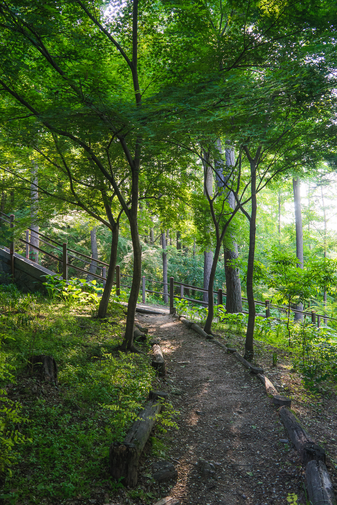 Sony a7 + Sony 28mm F2.8 sample photo. Namsan park ii photography