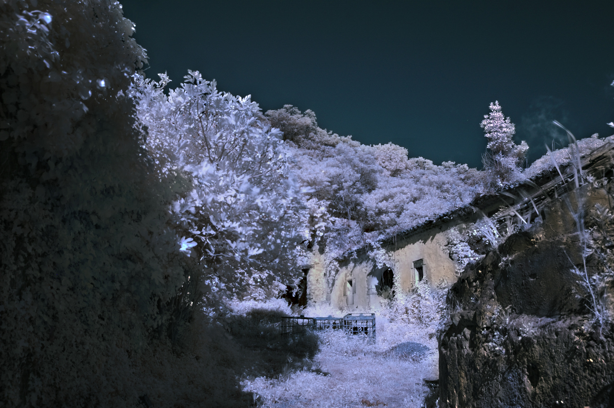 Nikon D50 sample photo. Ir casona los isla photography