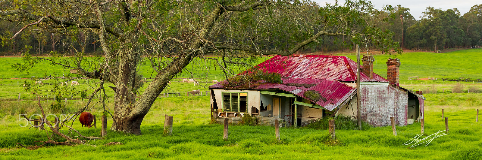Sigma 18-250mm F3.5-6.3 DC OS HSM sample photo. Rural farm scene donybrook photography