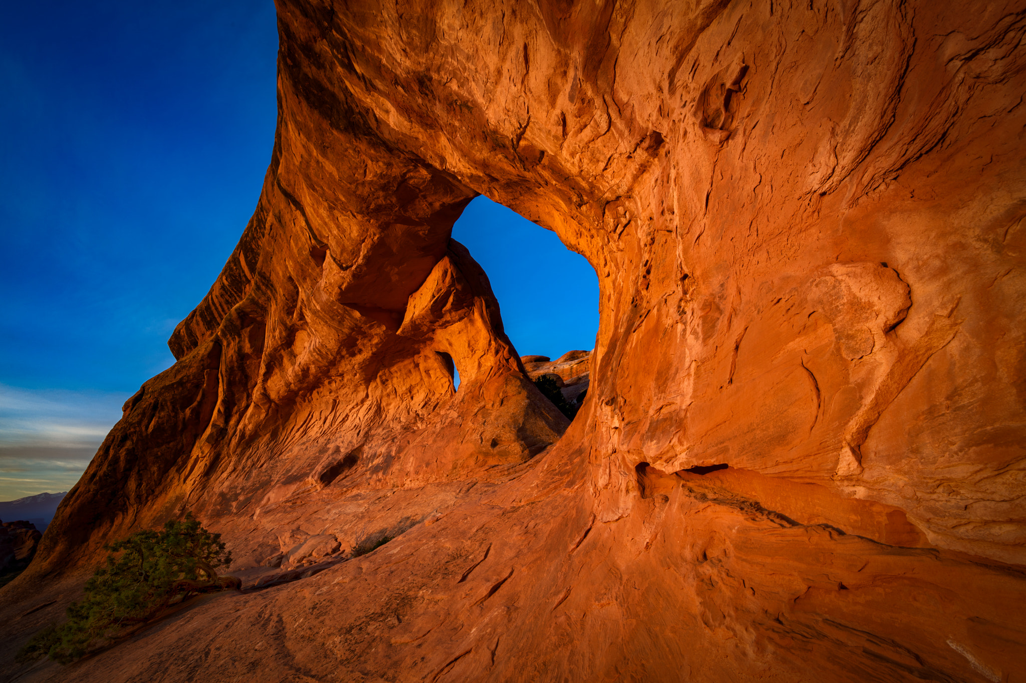 Canon EOS 5DS R sample photo. Glow photography