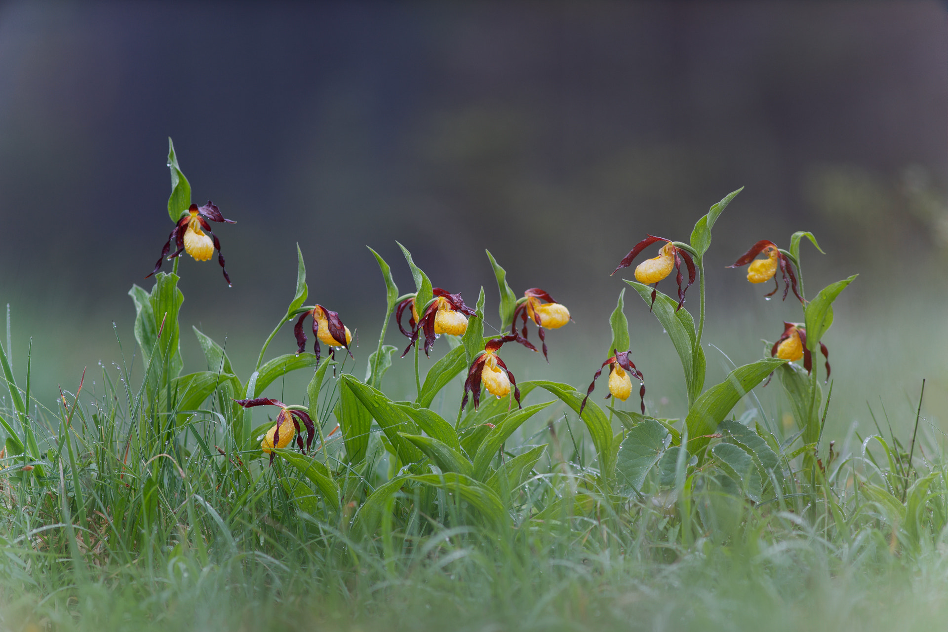 Minolta AF 28-85mm F3.5-4.5 New sample photo. The gang photography