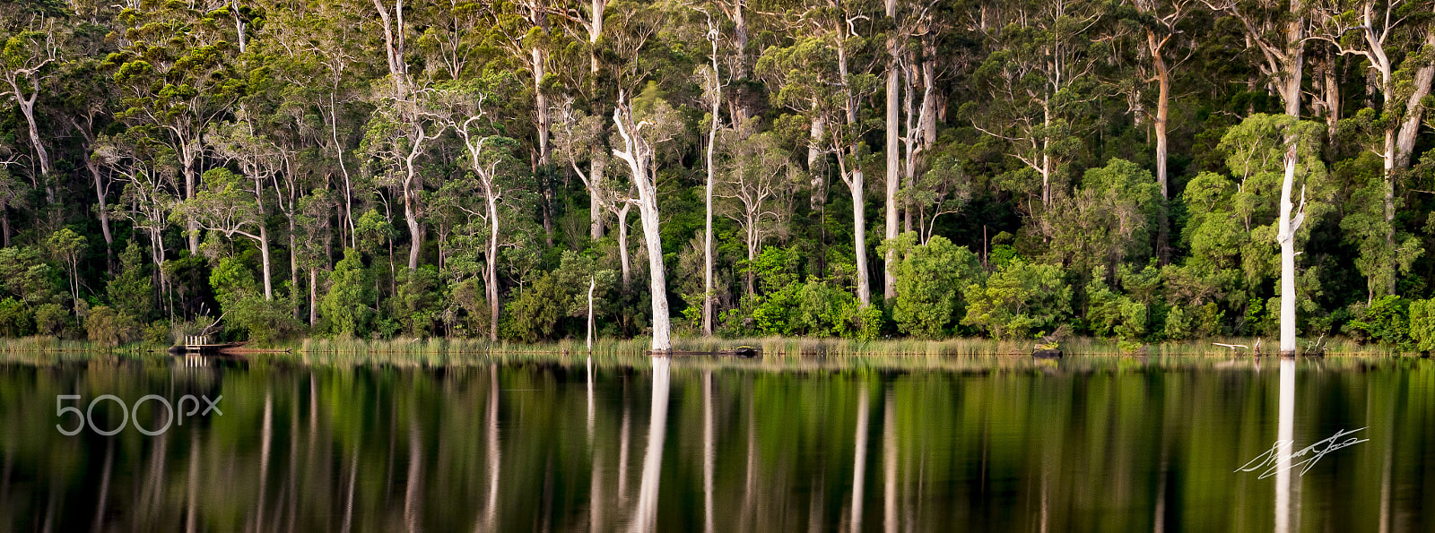 Sigma 18-250mm F3.5-6.3 DC OS HSM sample photo. Frogs leap jetty karri valley resort pemberton photography